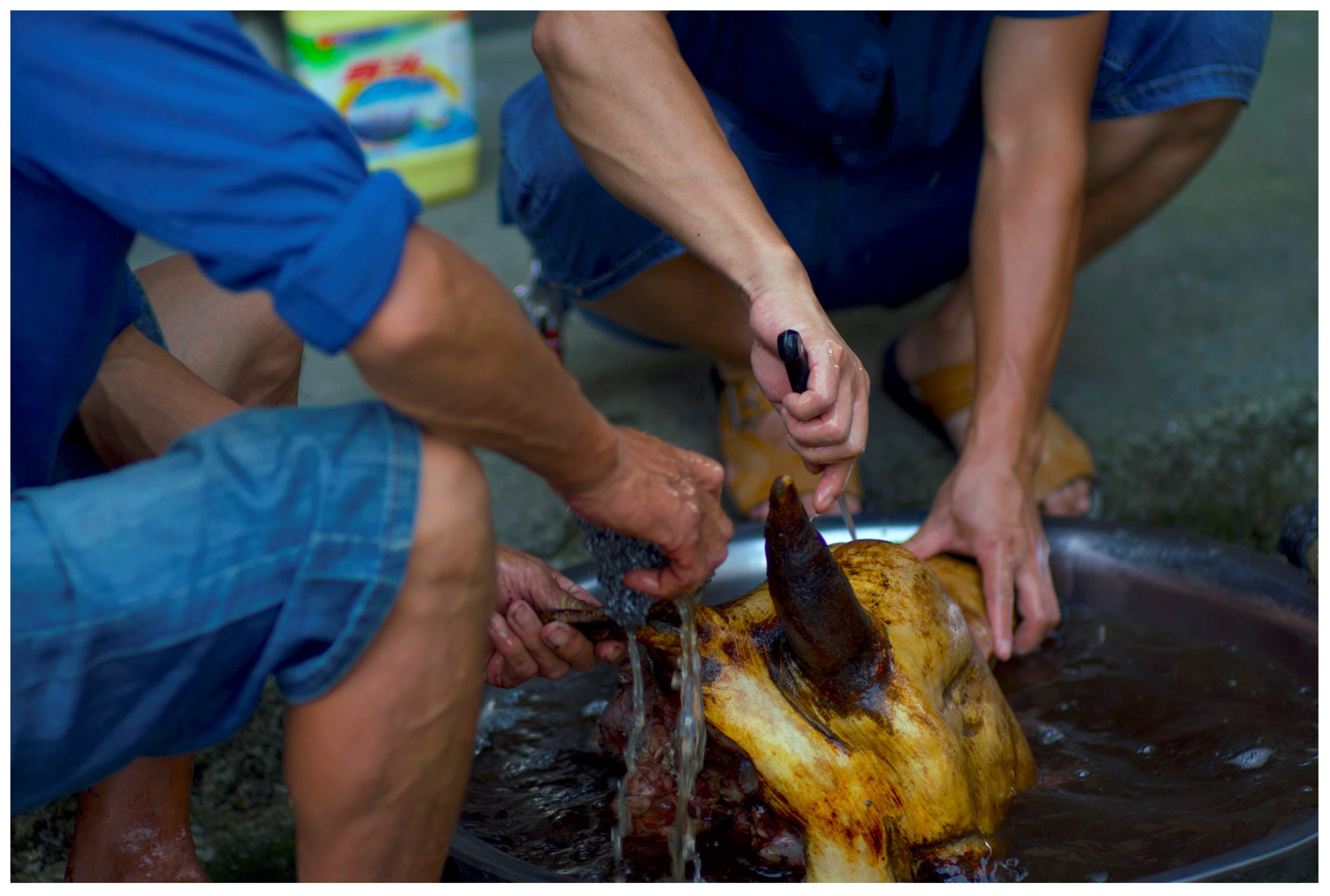 Religions 13 00303 g007 550