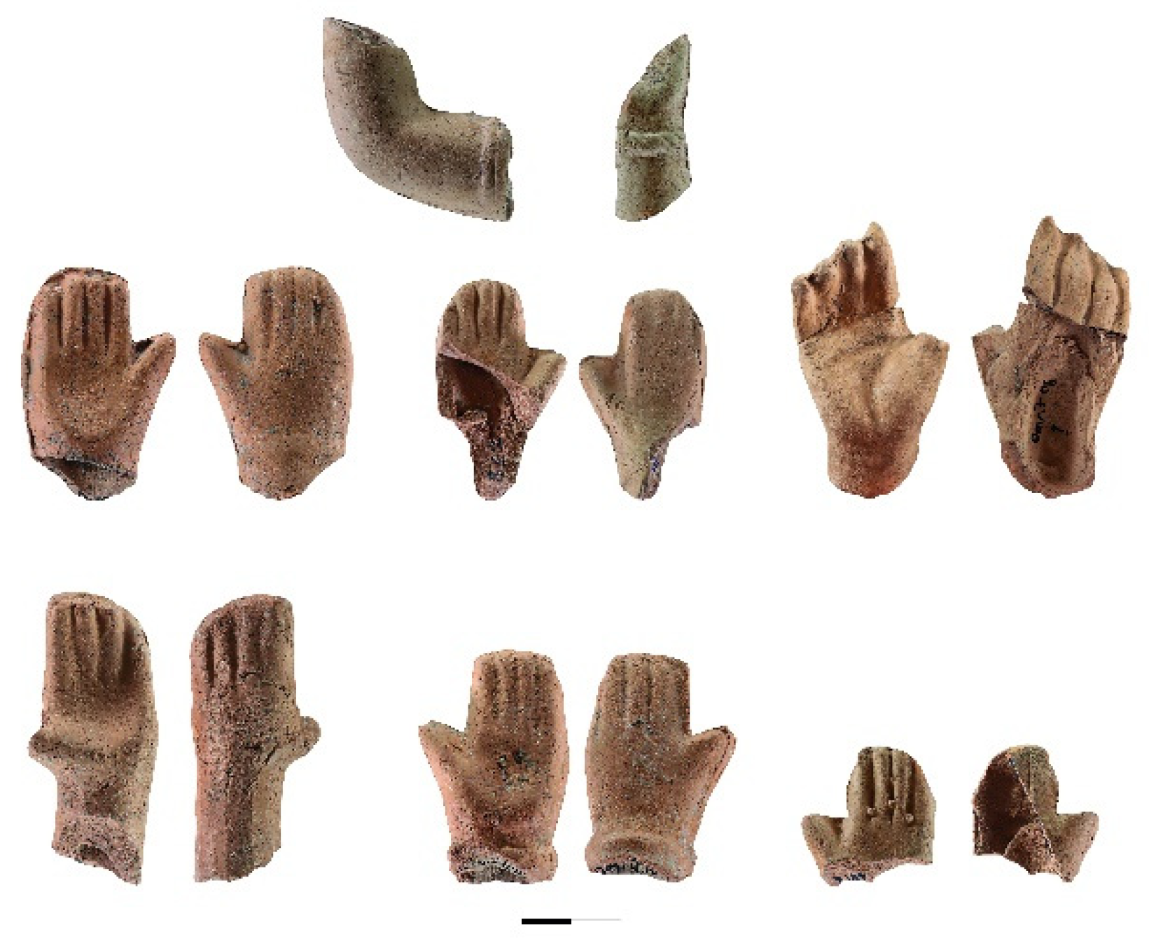 Religions 13 00362 g005