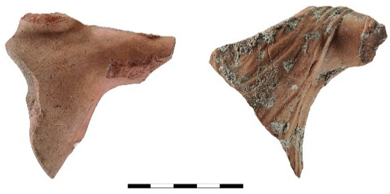 Religions 13 00362 g007