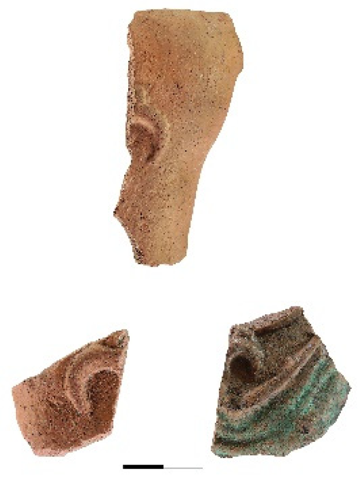 Religions 13 00362 g008