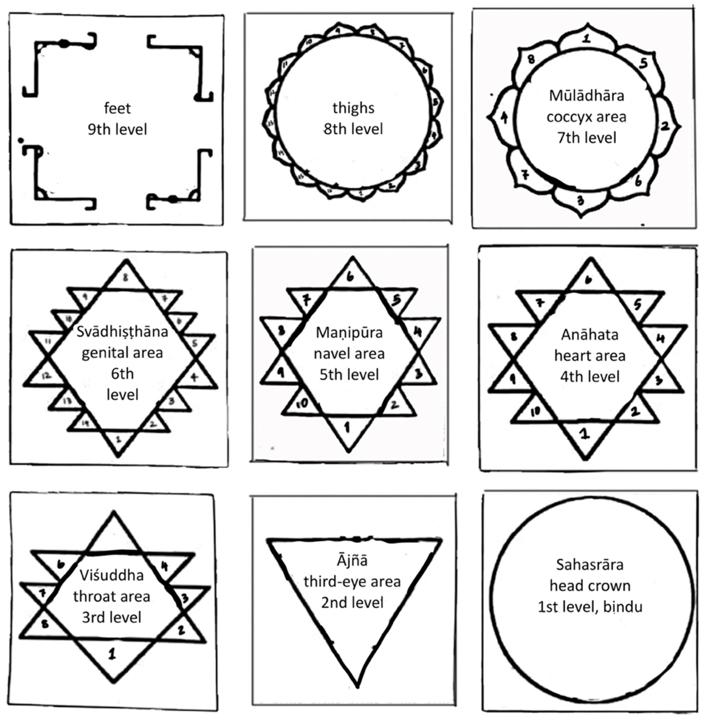 Religions Free Full-Text The Self as Combination of Deities and Yantras Divinisation Rituals among Contemporary and#346;rand#299;vidyand#257; Practitioners in India pic picture