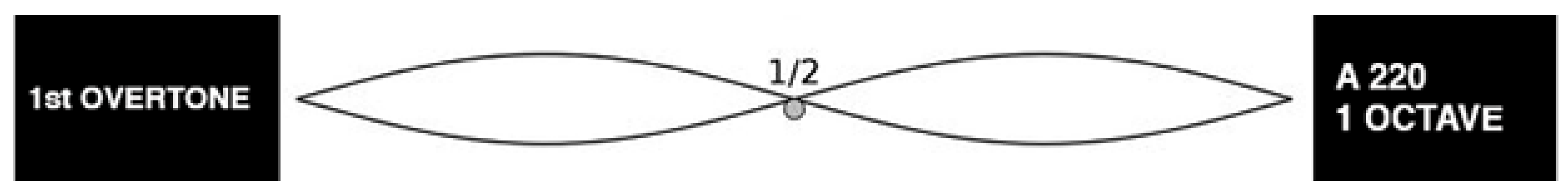 Religions 13 00792 g002 550