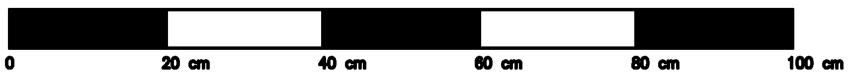 Religions 13 00881 g007b 550