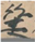 Religions 13 00992 i064