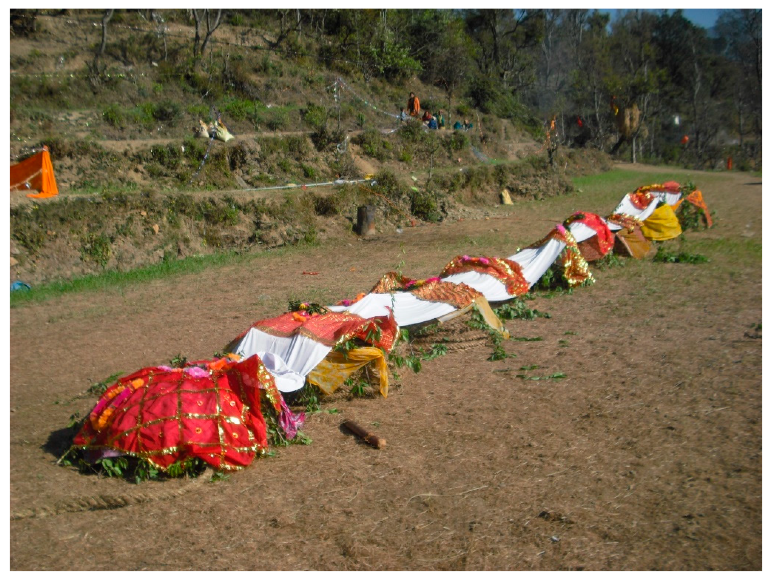 Religions Free Full-Text Hindu Deities in the Flesh andldquo;Hotandrdquo; Emotions, Sensual Interactions, and (Syn)aesthetic Blends