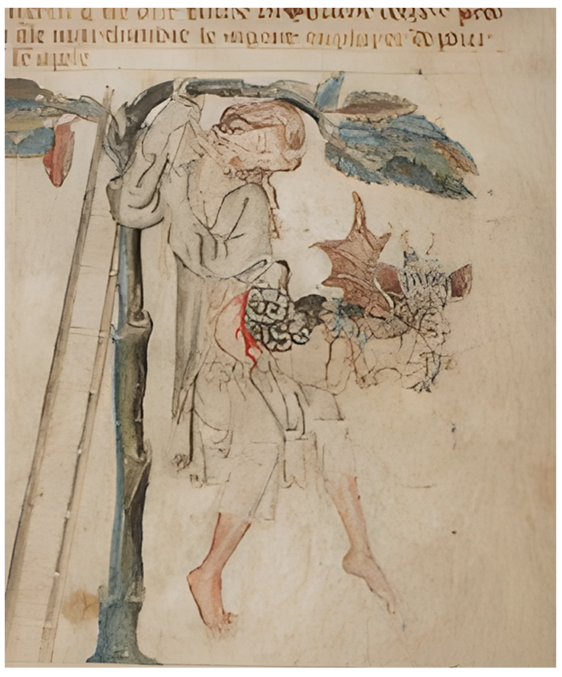 Religions 13 01048 g010