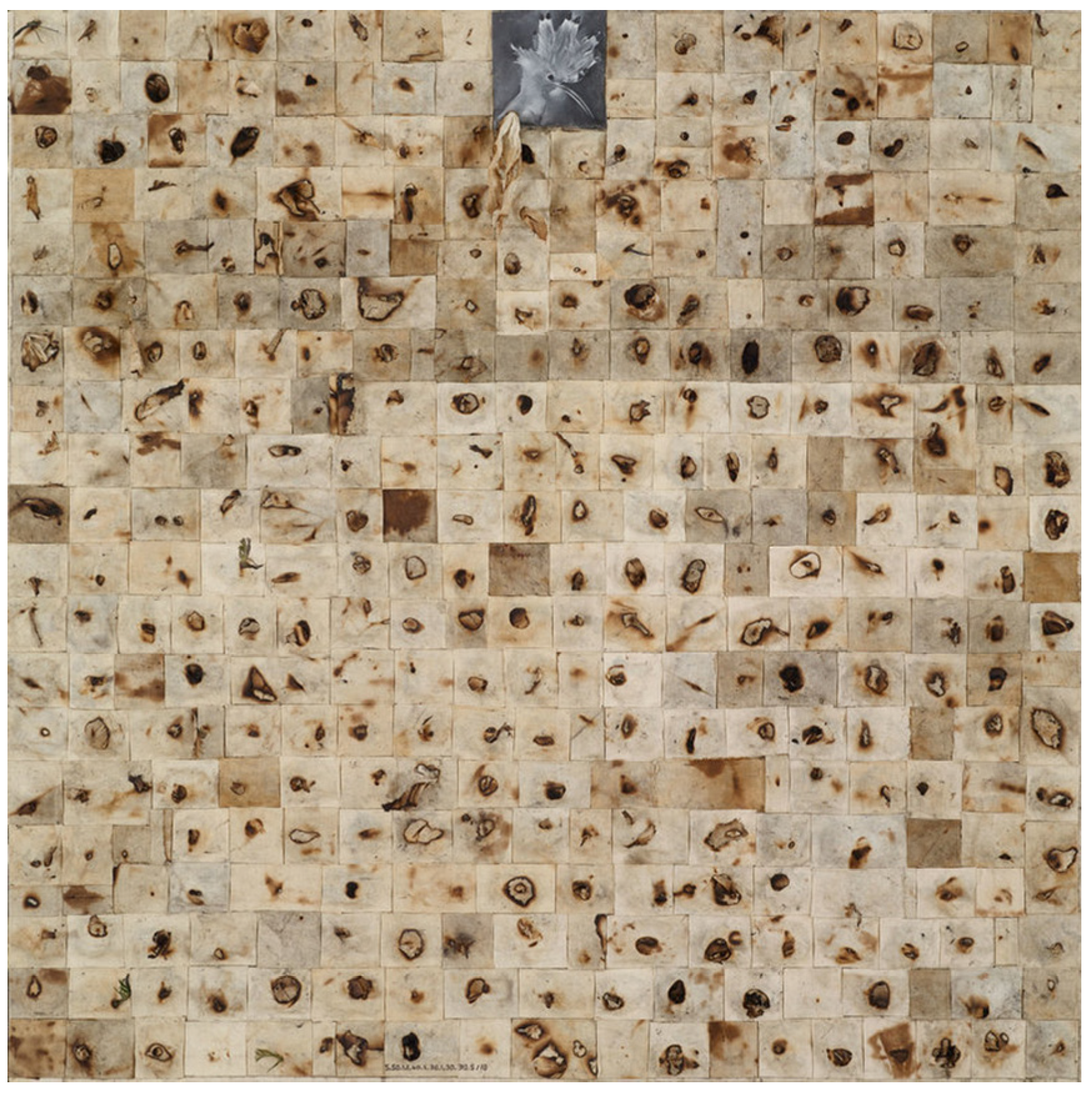 Religions 14 00196 g009 550