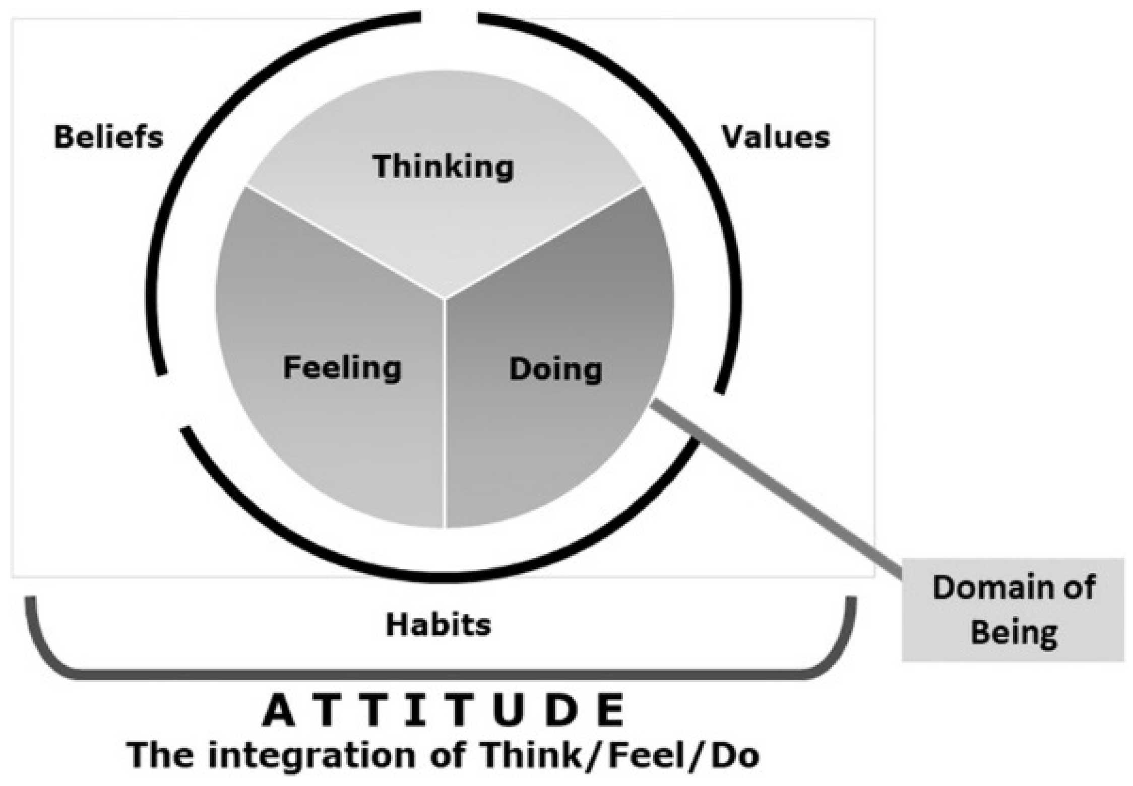 Religions 14 00282 g004