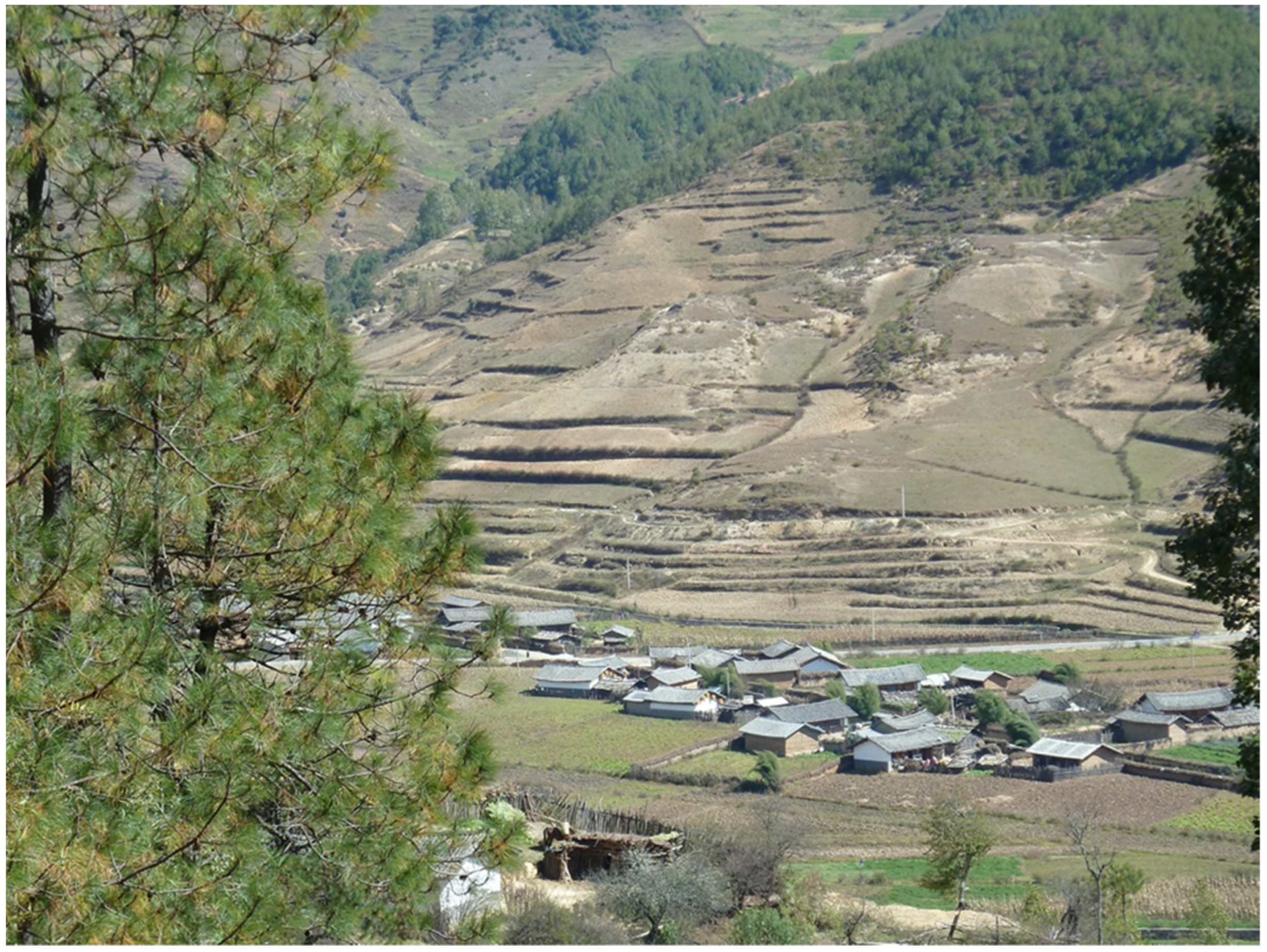 Religions 14 00449 g001