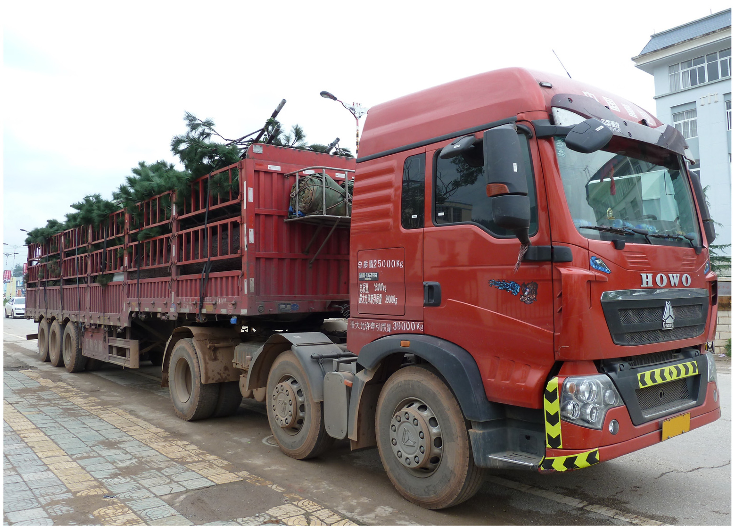 Religions 14 00449 g002