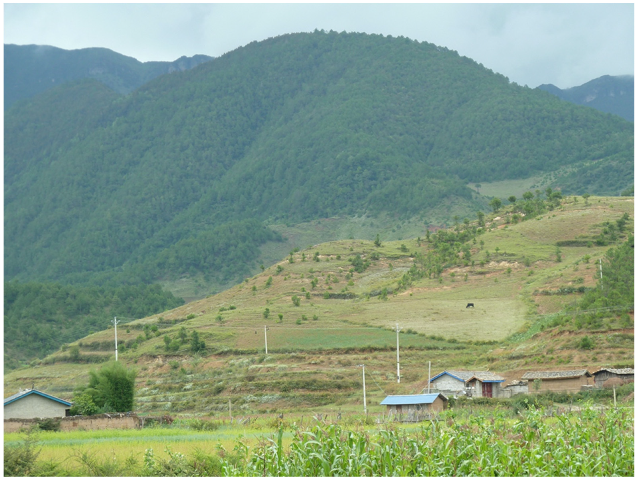 Religions 14 00449 g004