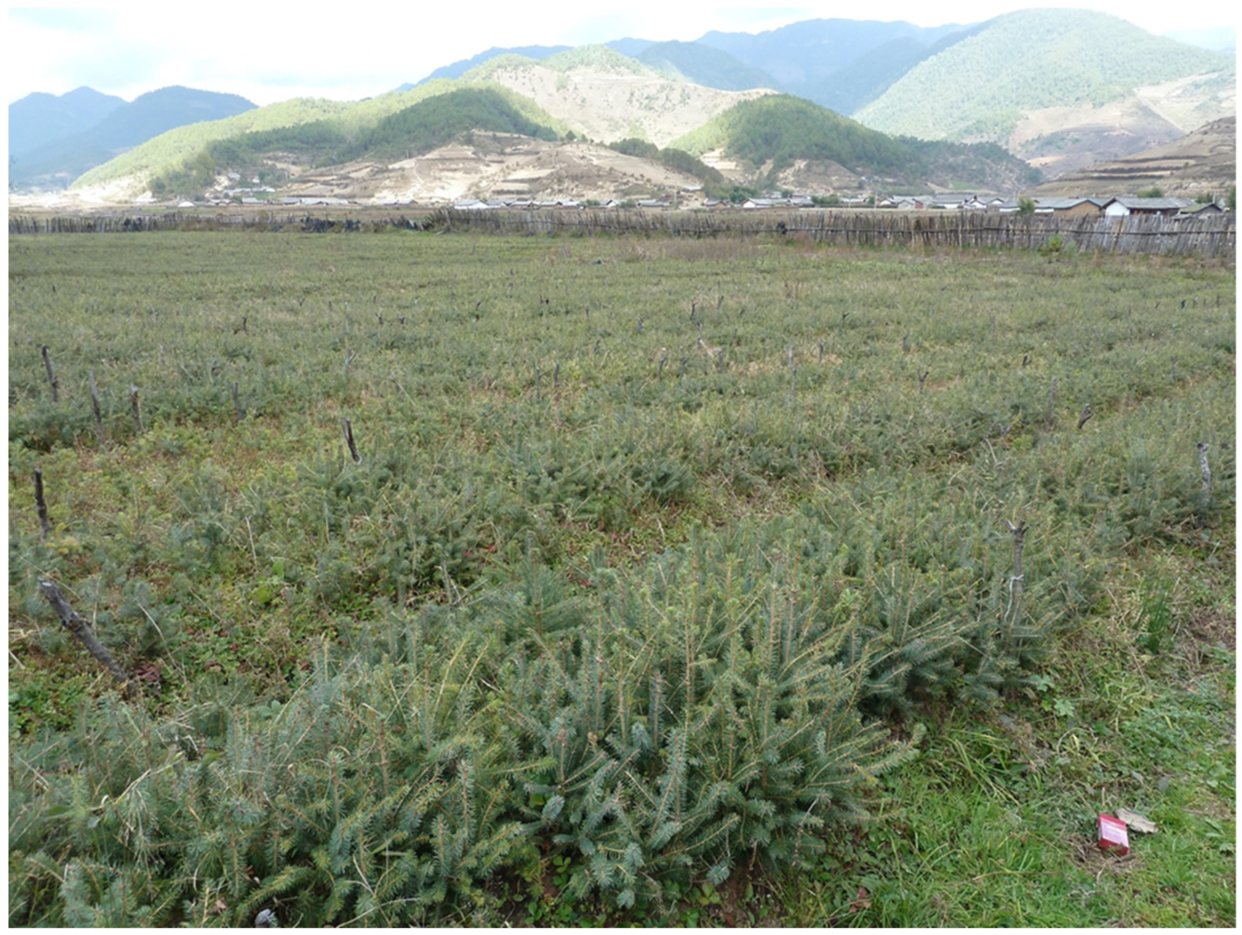 Religions 14 00449 g007