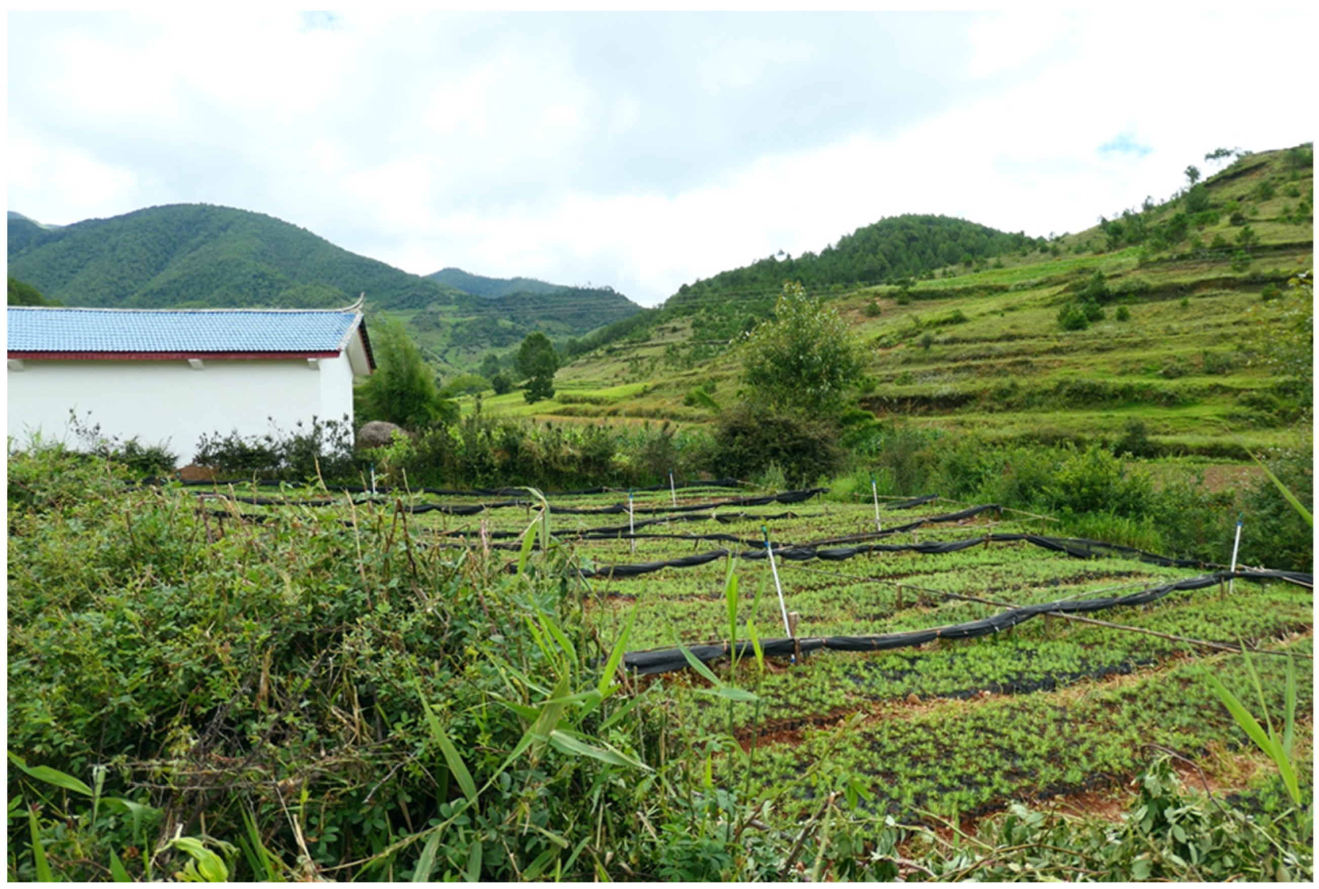 Religions 14 00449 g008