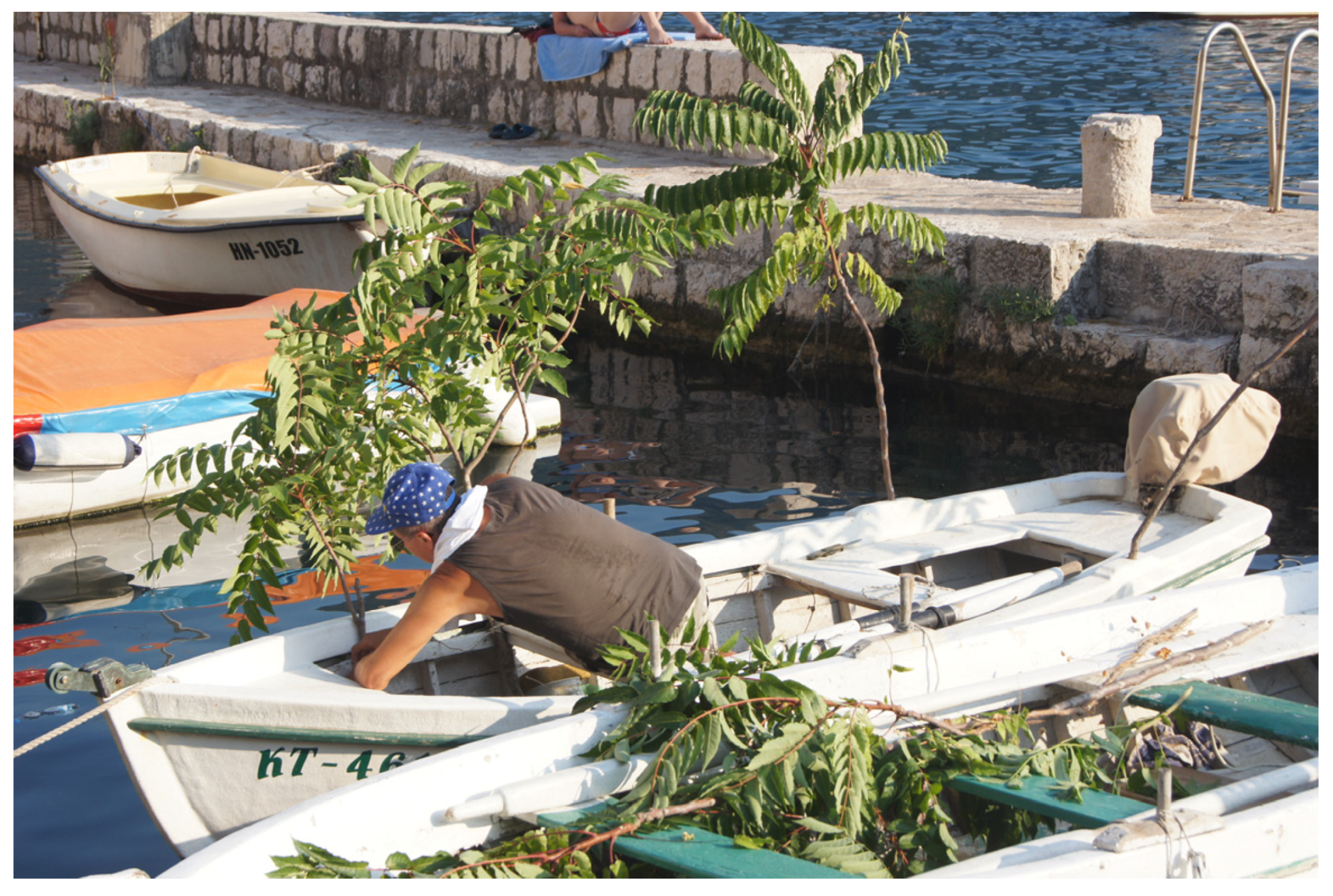 Religions 14 00522 g002