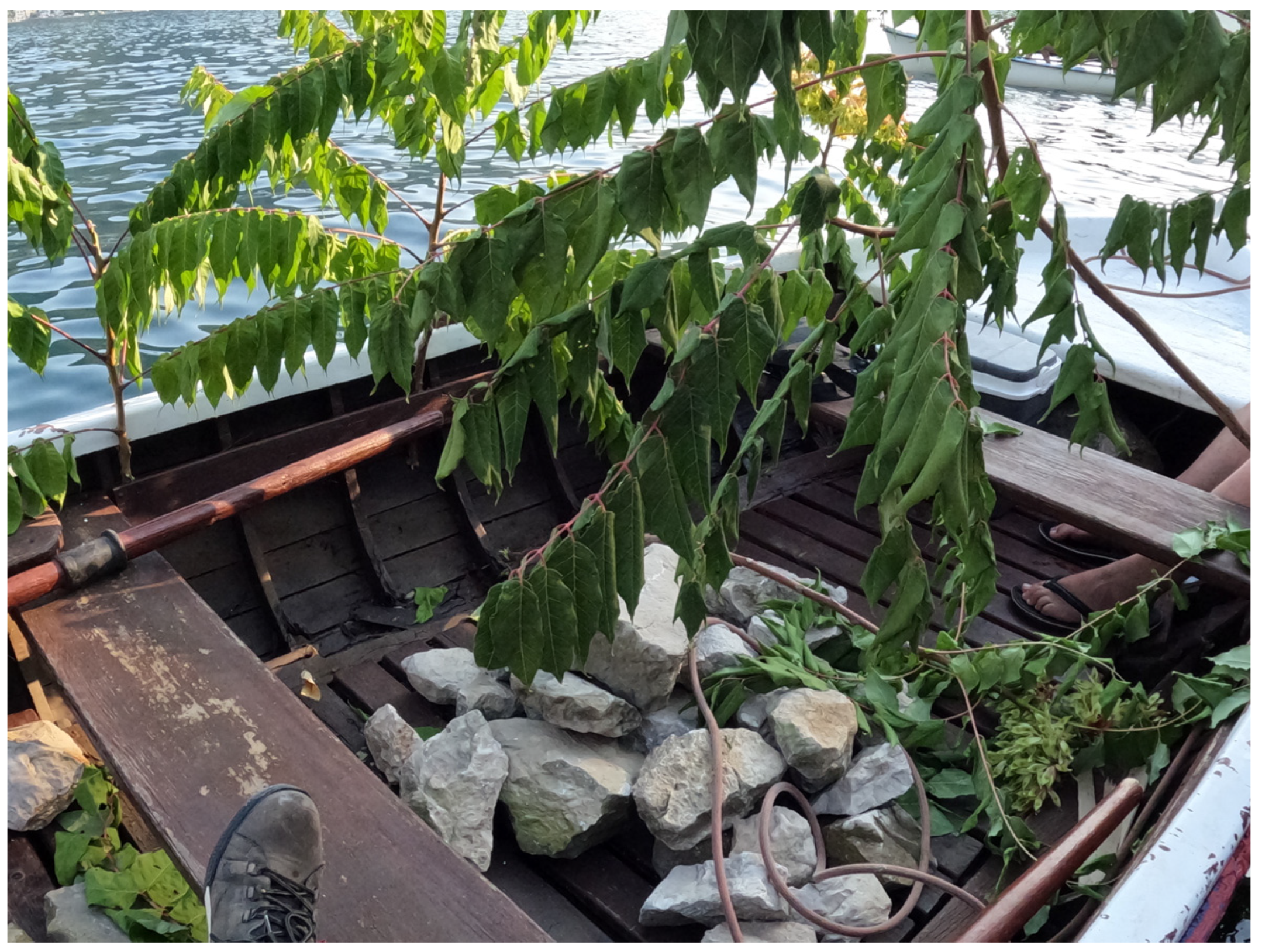 Religions 14 00522 g003