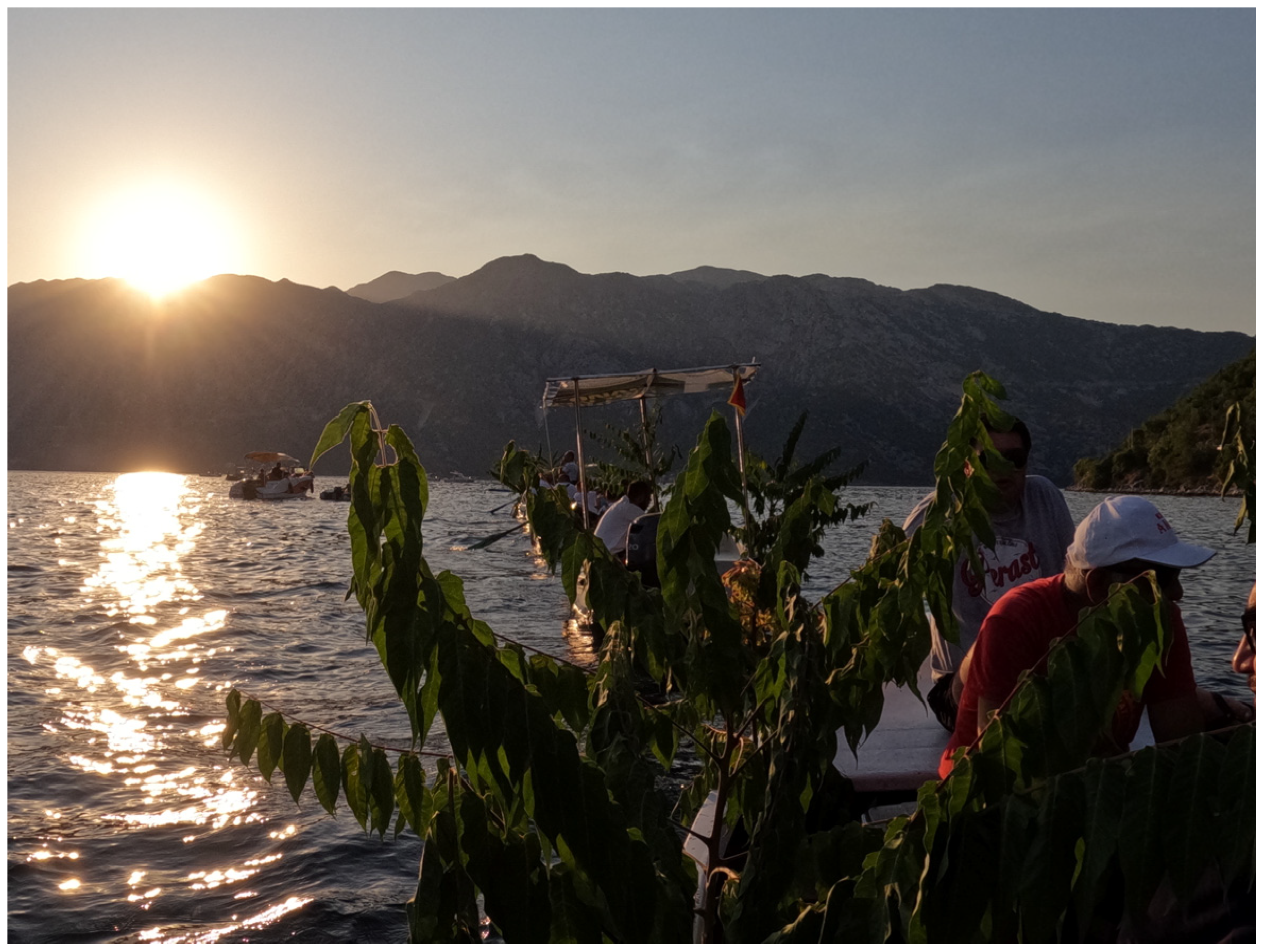 Religions 14 00522 g005