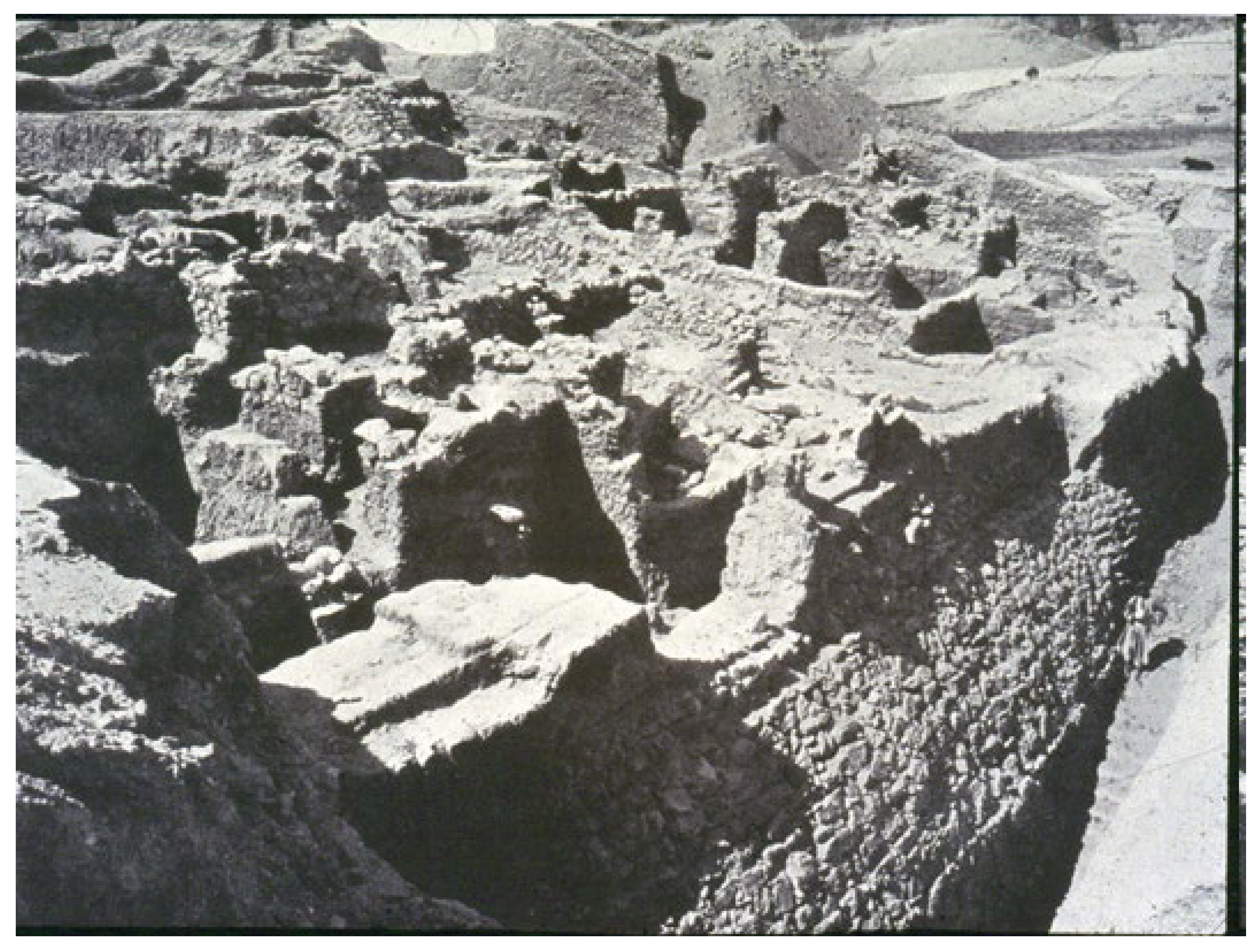 Religions 14 00796 g003