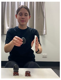 Religions 14 00797 i004 Religions 14 00797 i004