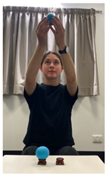 Religions 14 00797 i006 Religions 14 00797 i006