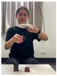 Religions 14 00797 i012 Religions 14 00797 i012