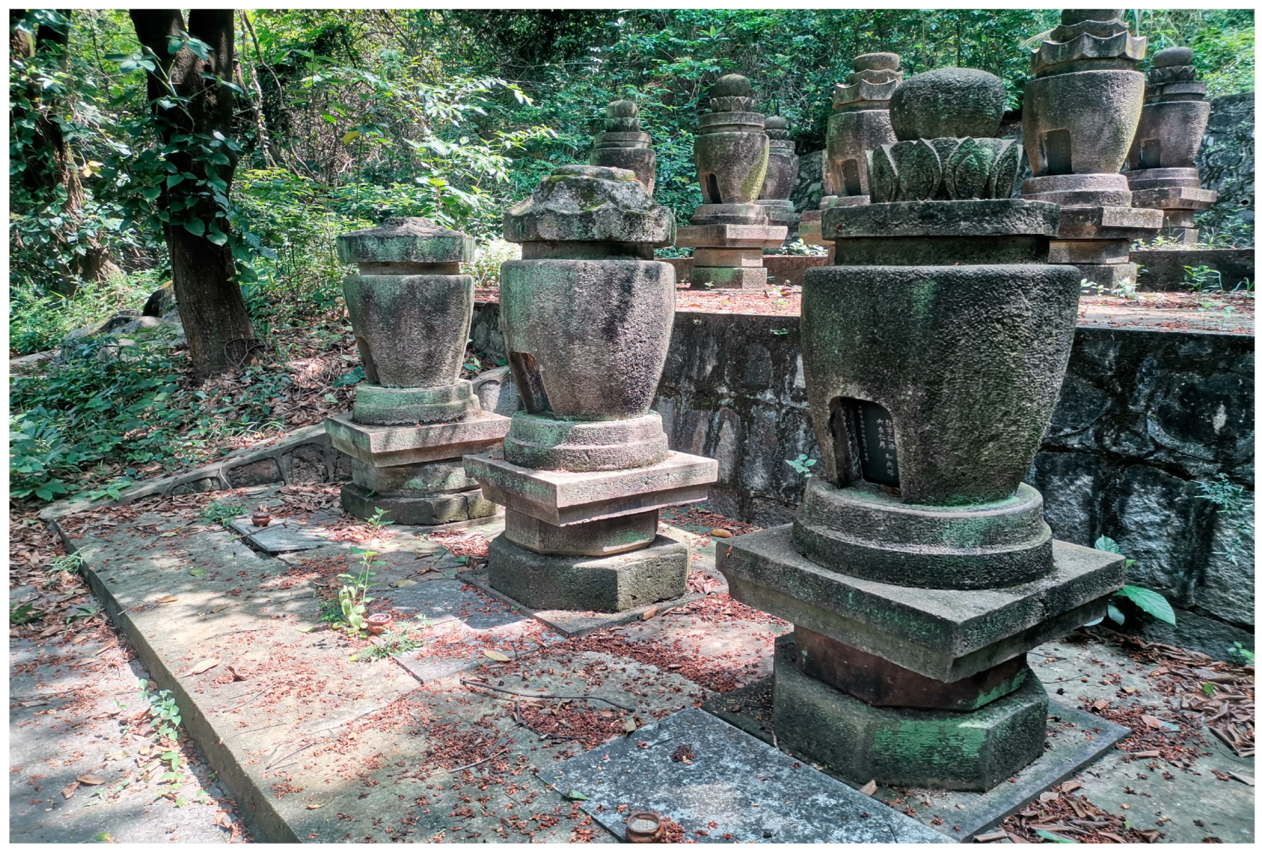 Religions 14 00924 g007 550