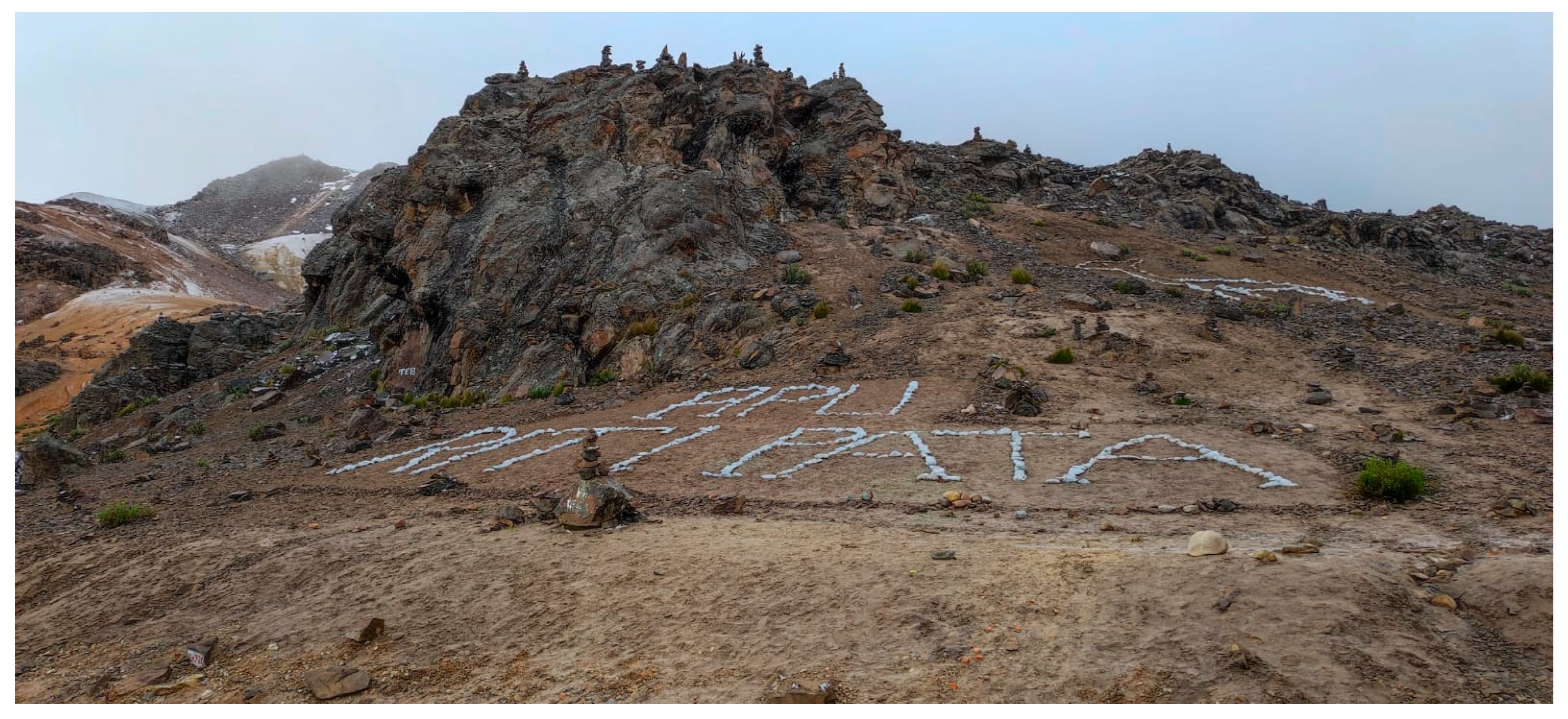 Religions 14 00965 g002