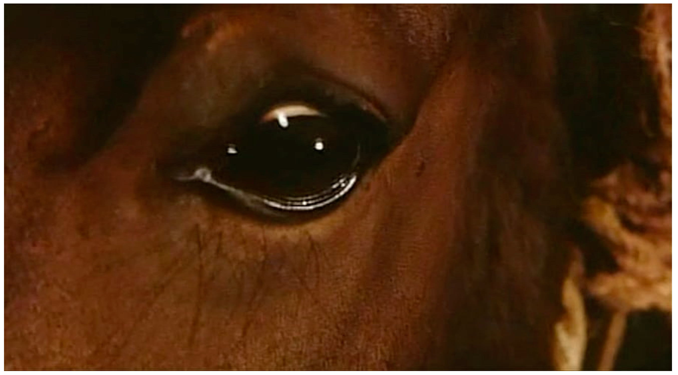 Religions 14 00994 g002 550