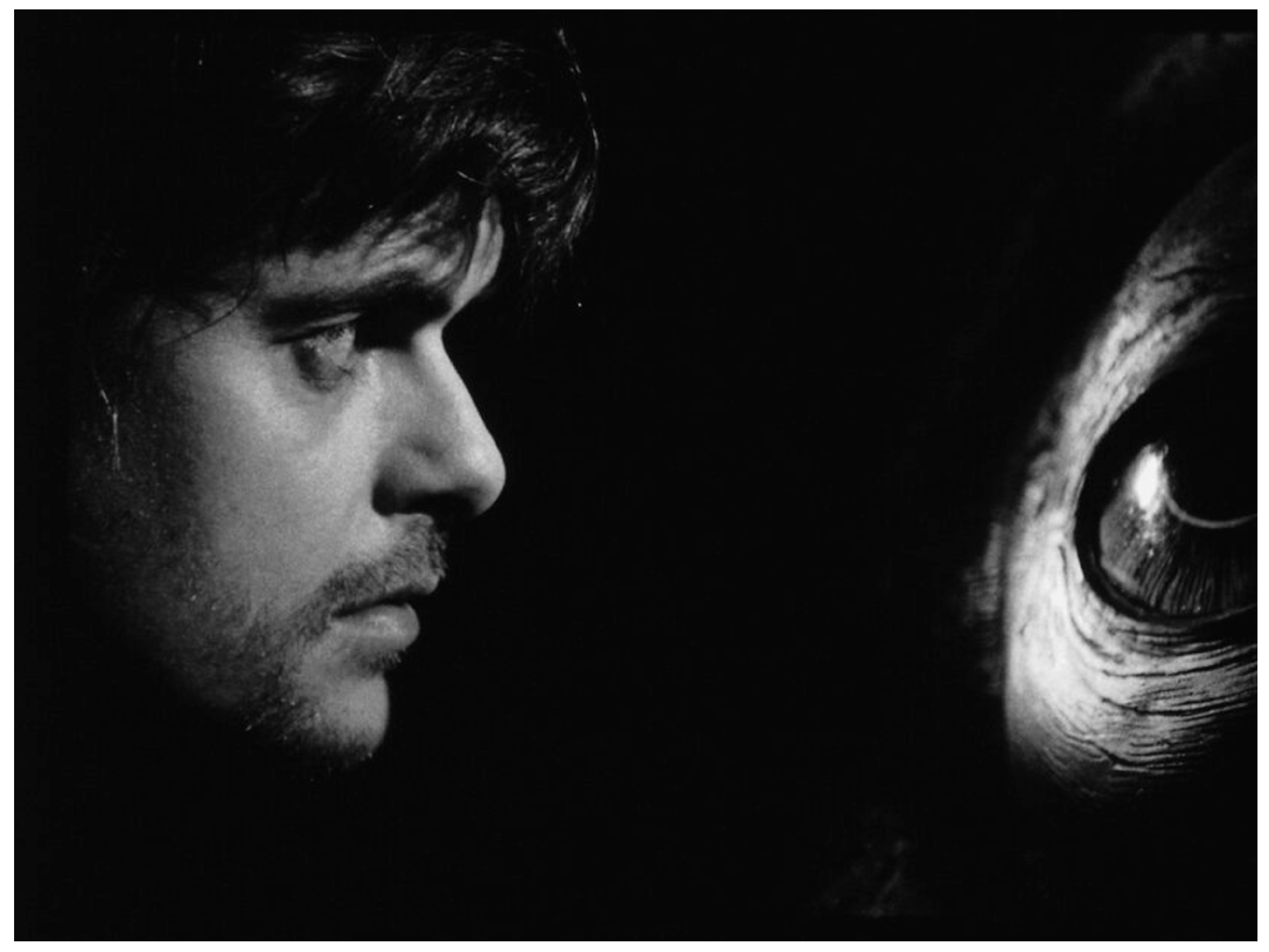 Religions 14 00994 g004 550