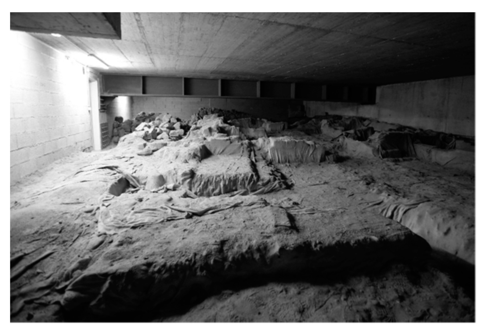 Religions 14 01185 g007