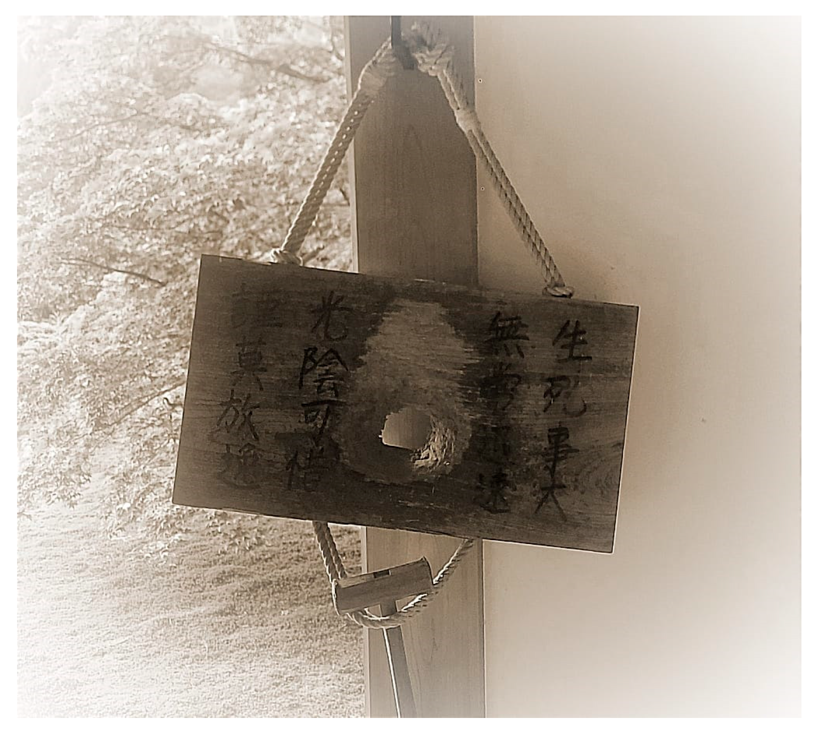 Religions 14 01246 g002