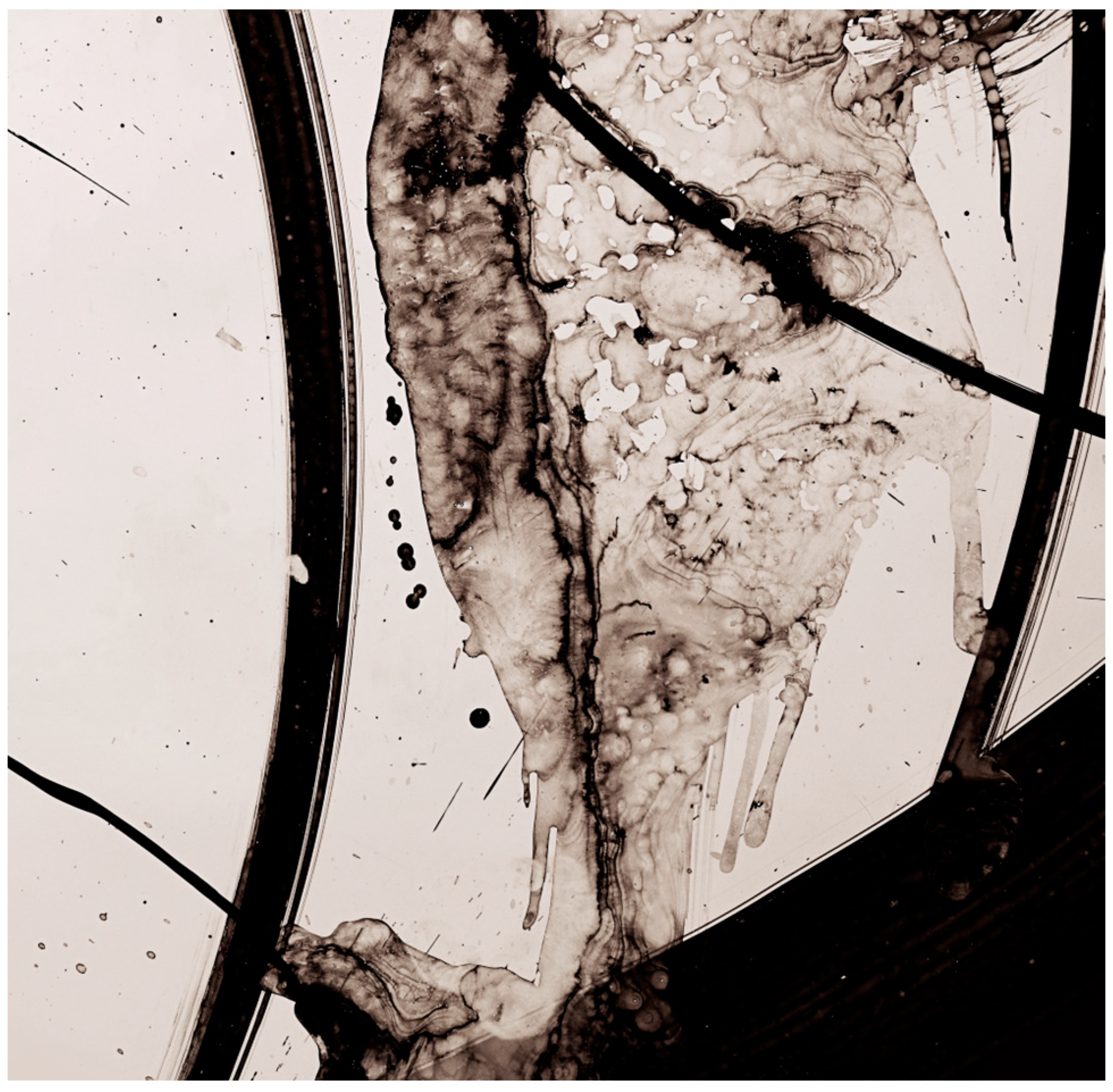 Religions 14 01279 g006