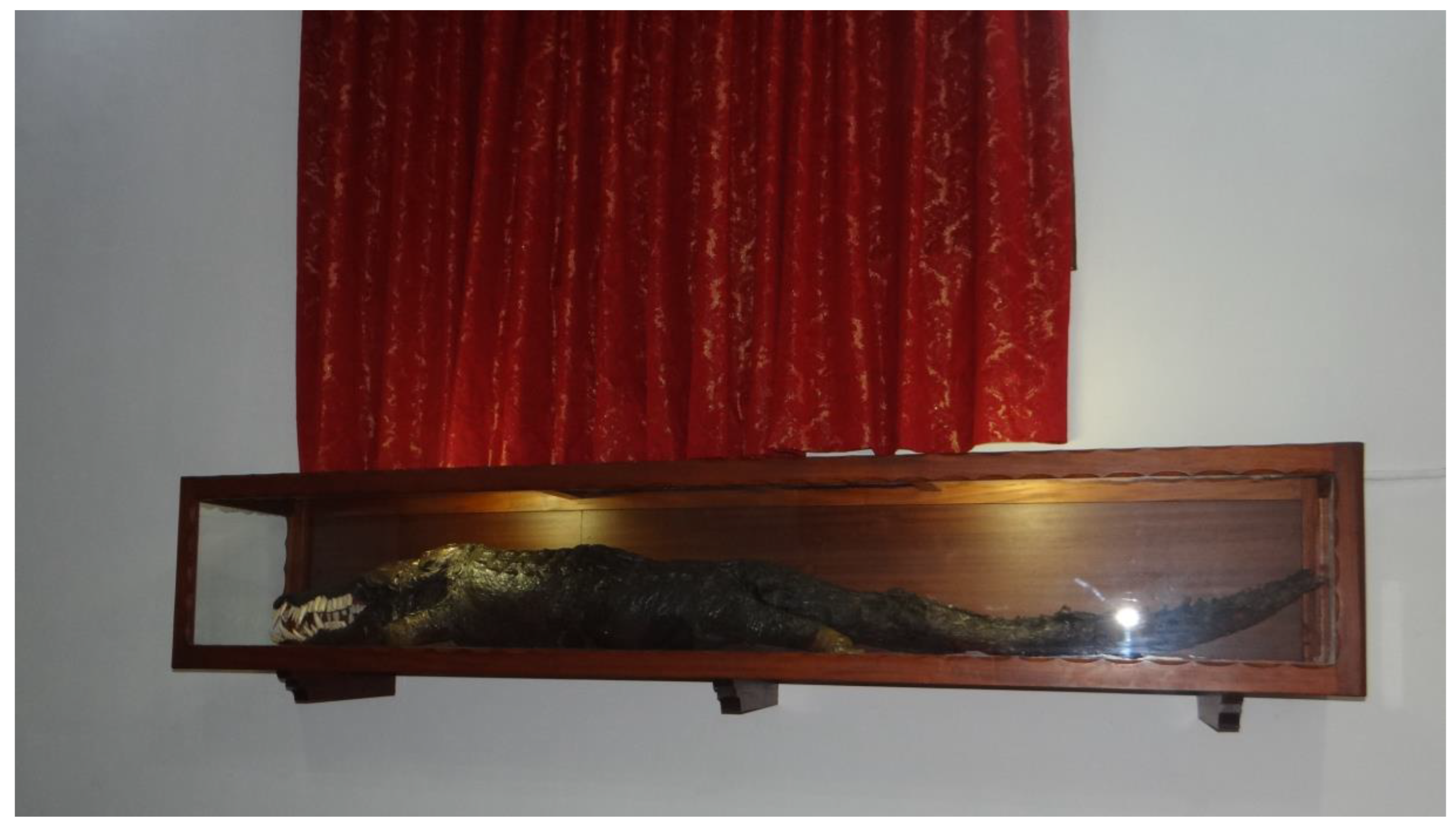 Religions 14 01385 g003