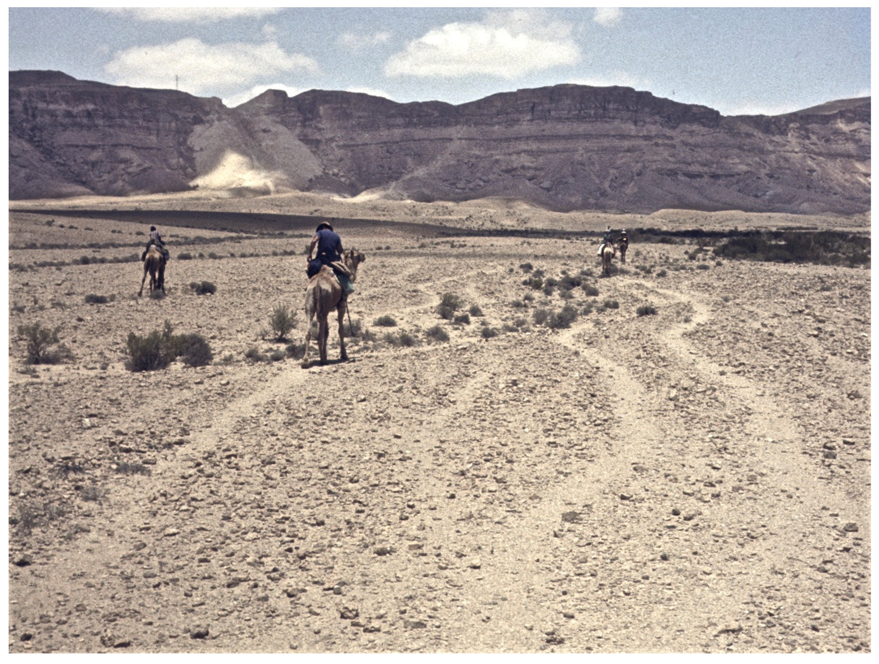 Religions 14 01472 g004