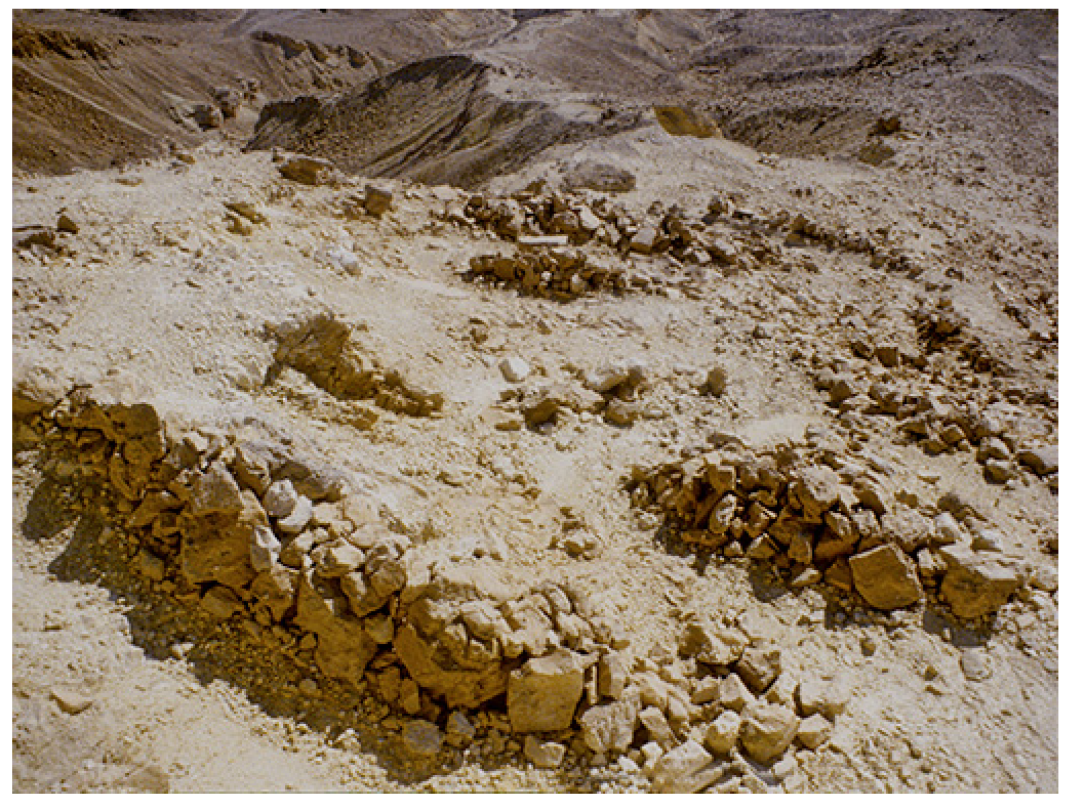 Religions 14 01472 g006