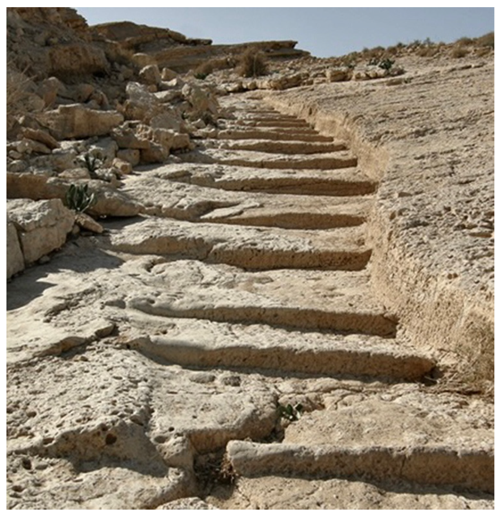 Religions 14 01472 g007