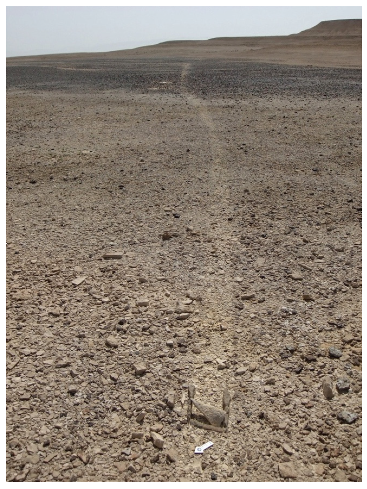 Religions 14 01472 g009