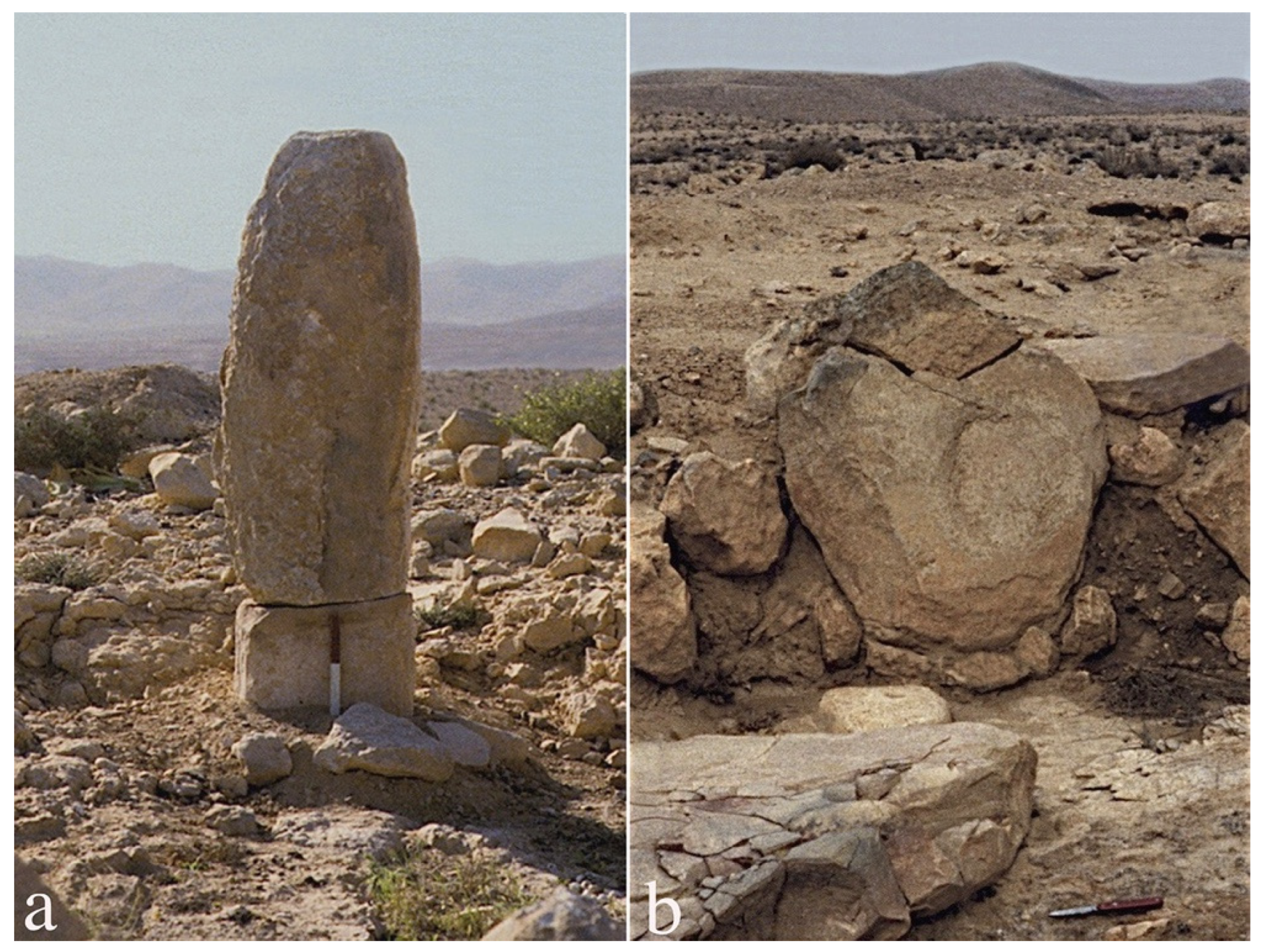 Religions 14 01472 g010