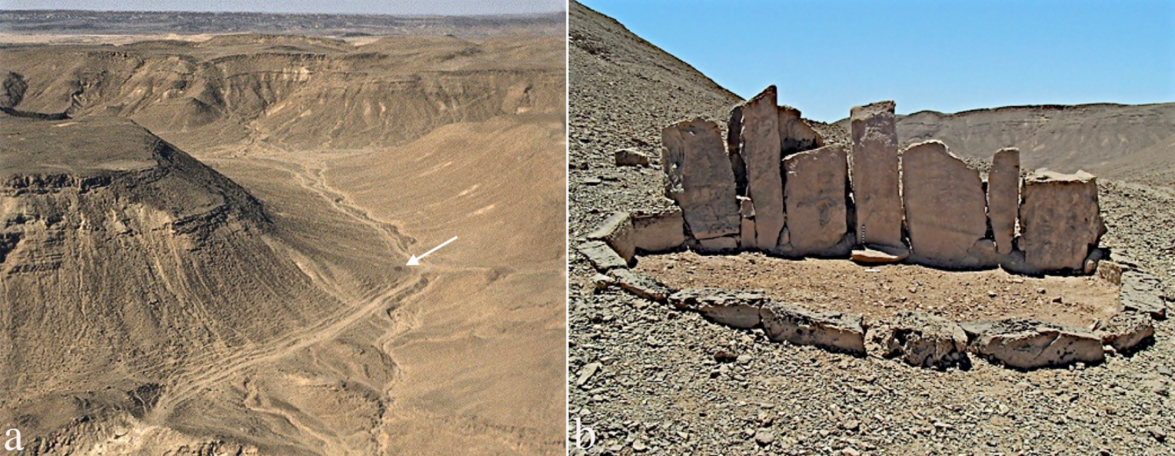 Religions 14 01472 g011