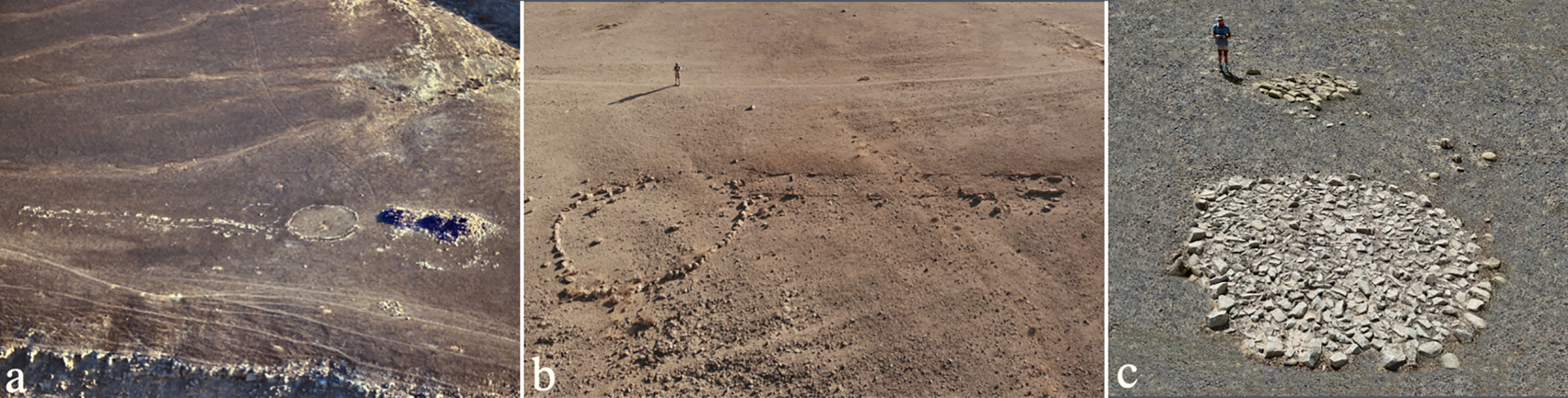 Religions 14 01472 g034