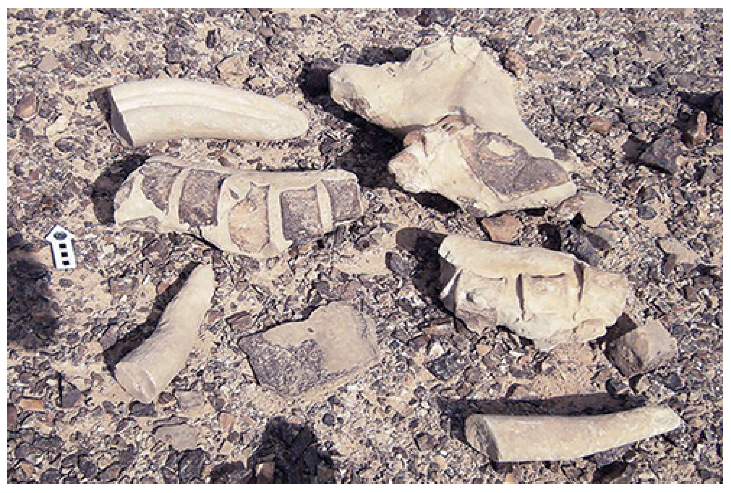 Religions 14 01472 g038