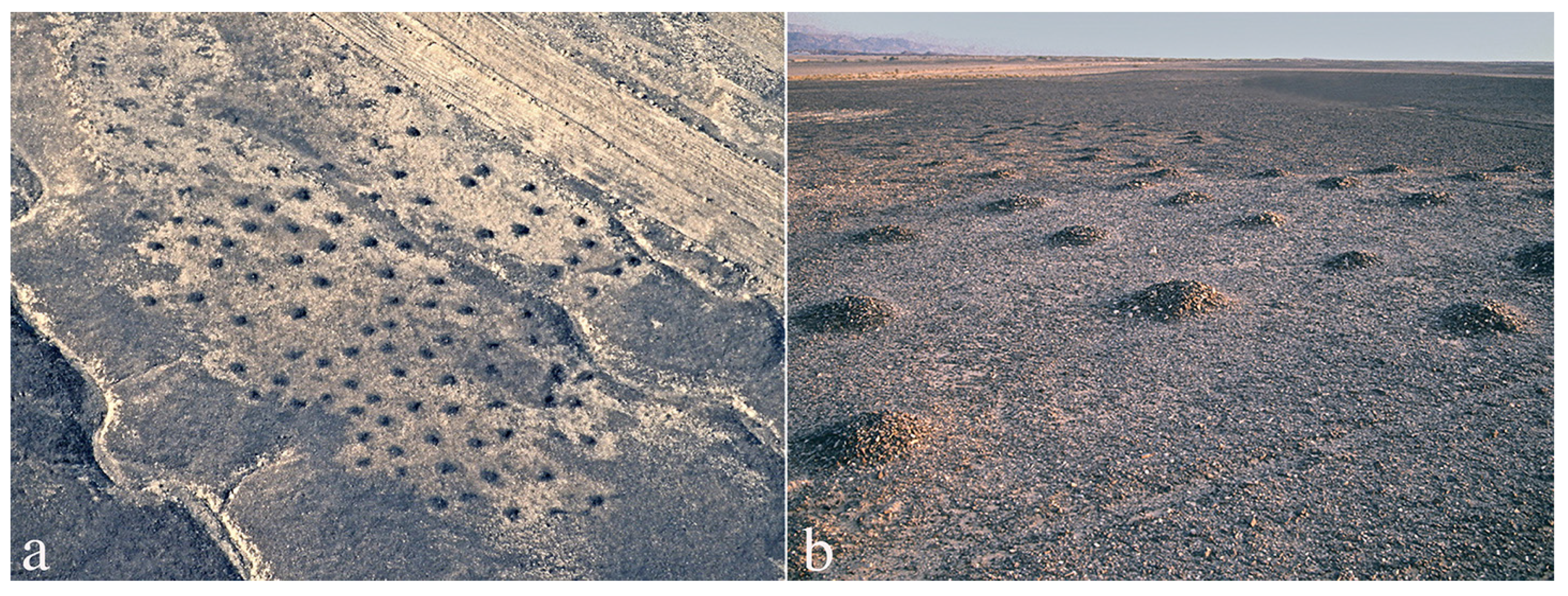 Religions 14 01472 g040