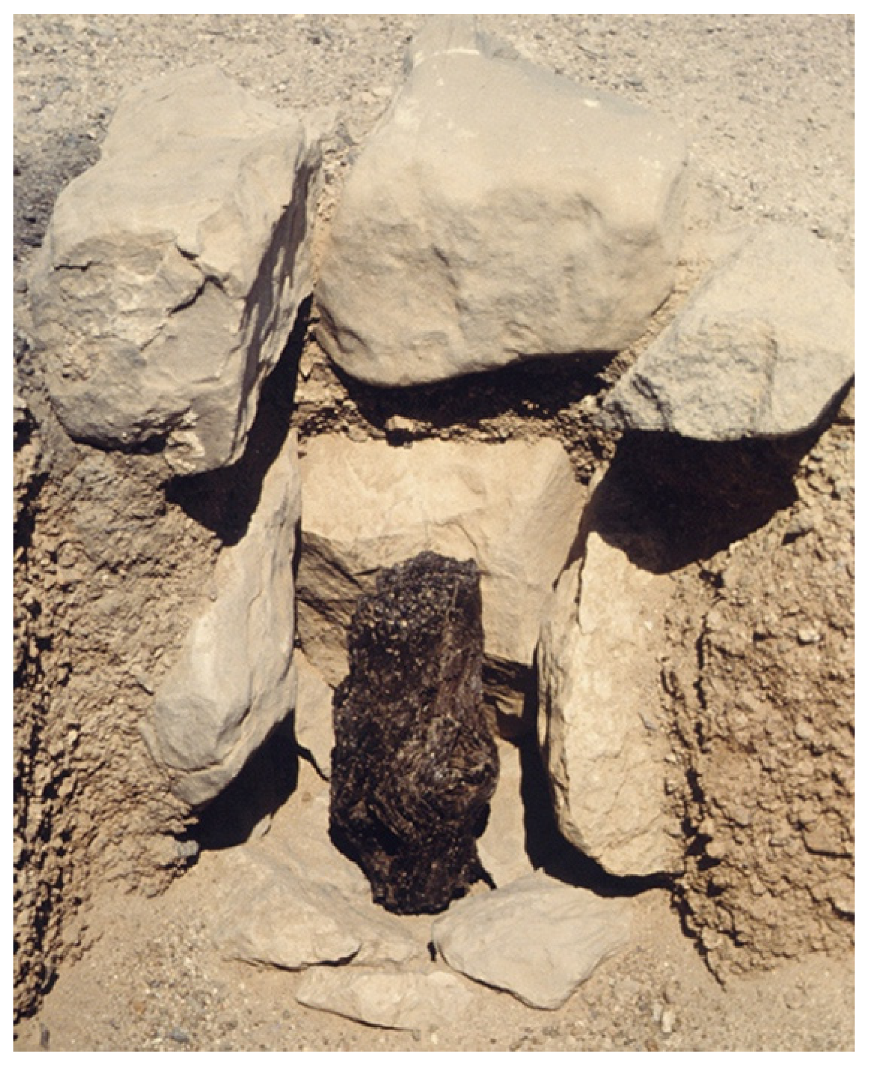 Religions 14 01472 g046