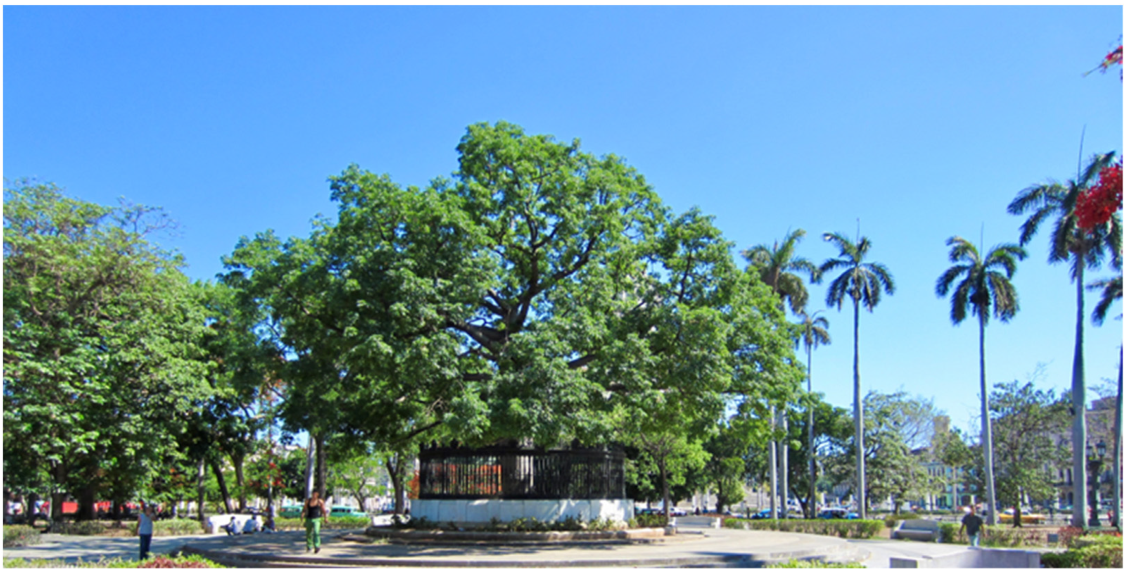 Religions 14 01545 g014