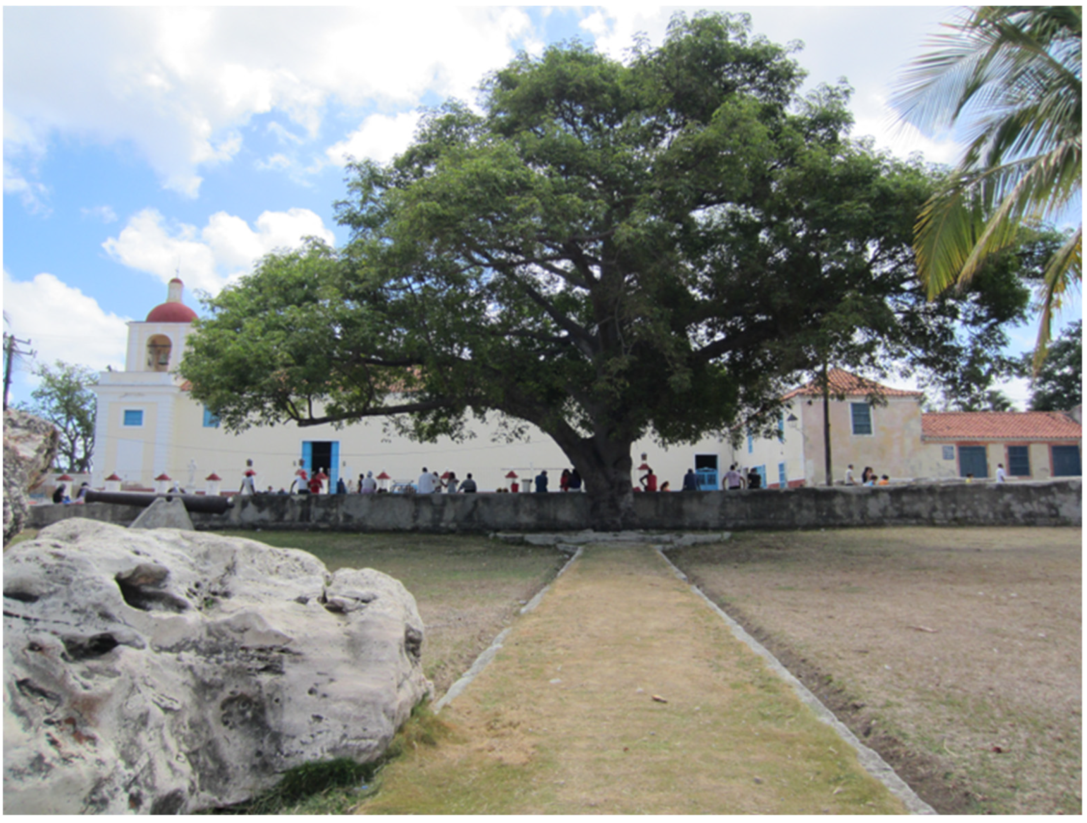 Religions 14 01545 g015