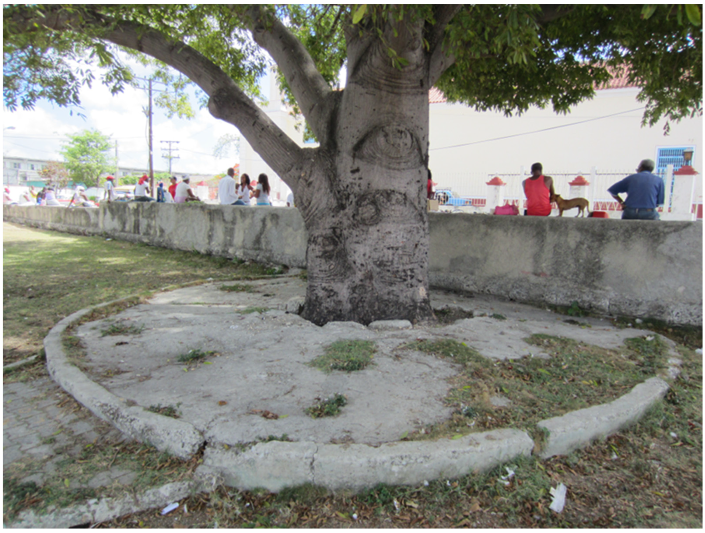 Religions 14 01545 g016