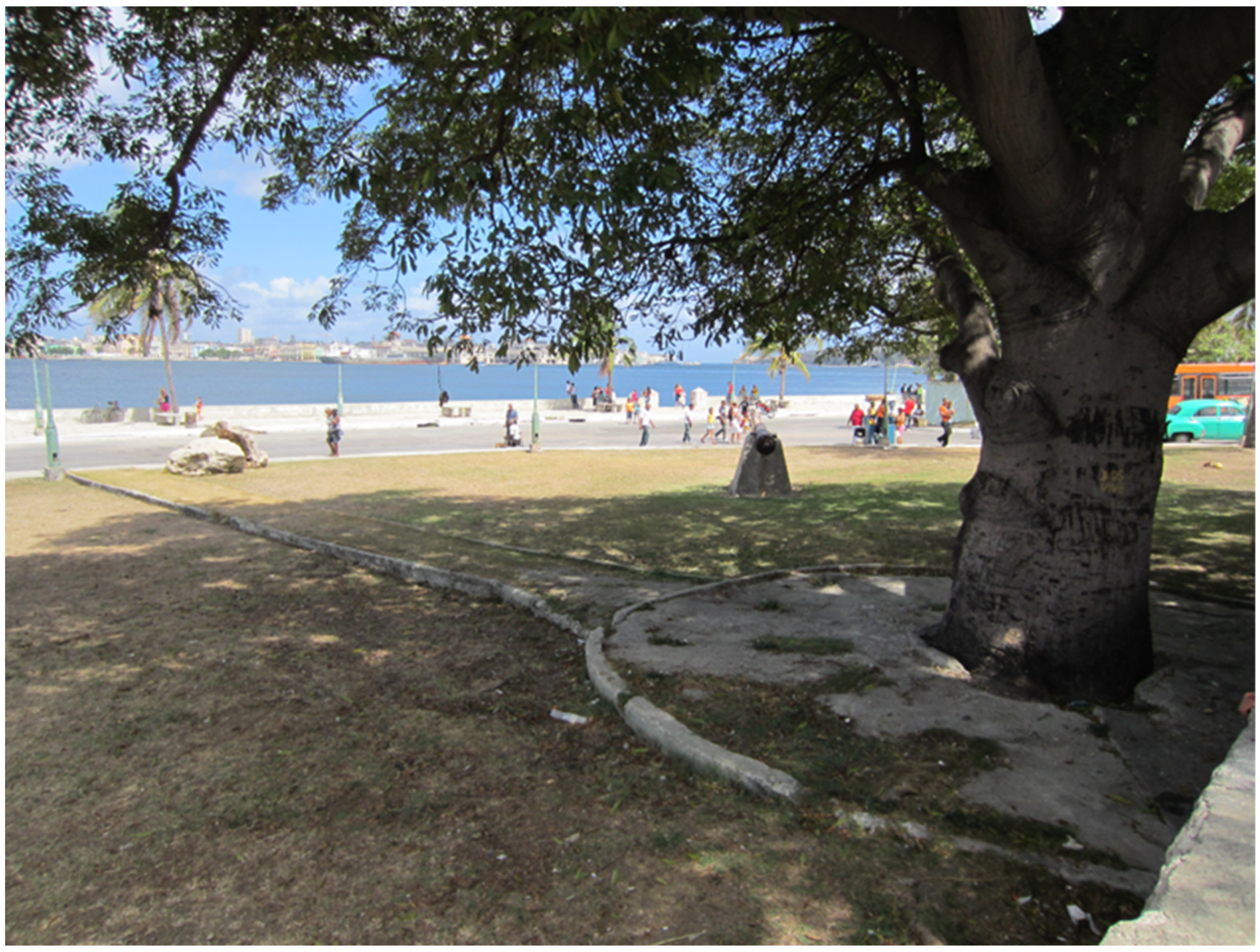 Religions 14 01545 g018