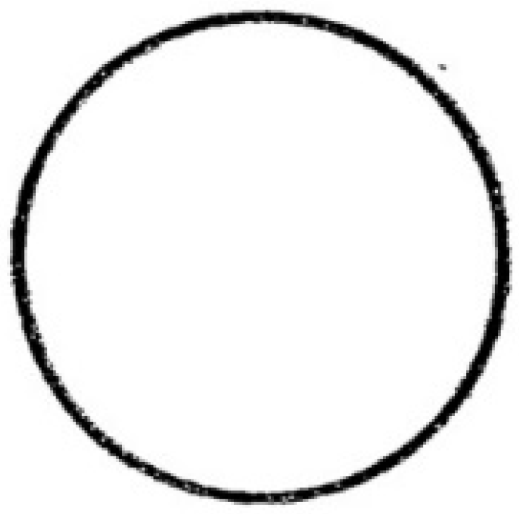 Religions 14 01546 g005 Religions 14 01546 g005