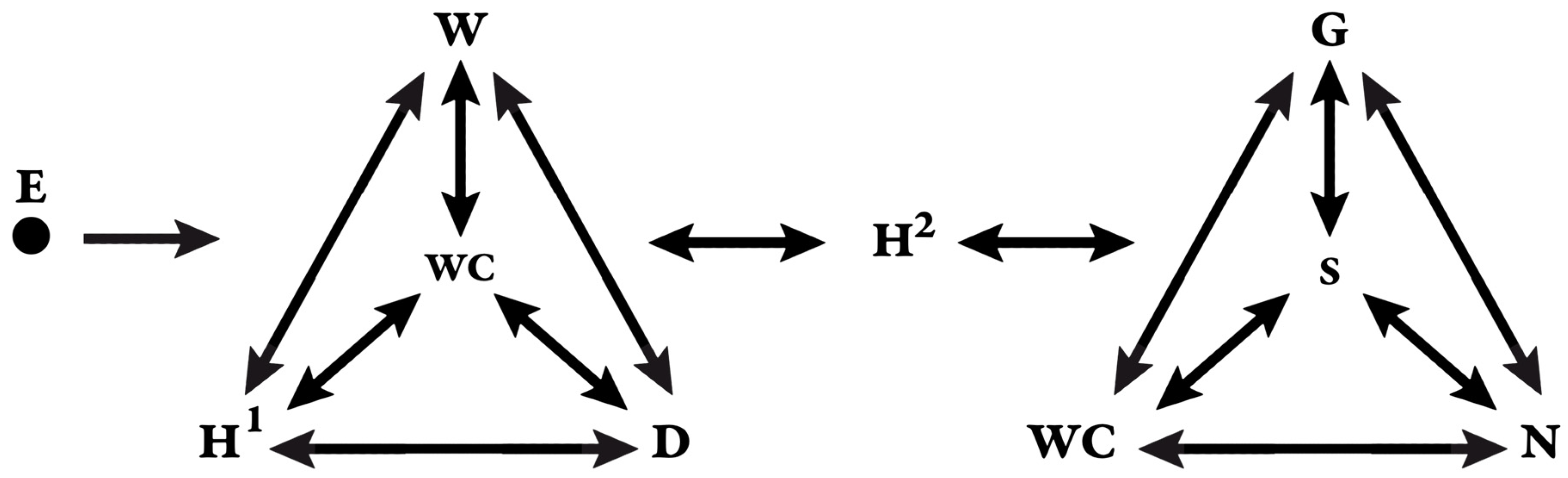 Religions 15 00045 g001