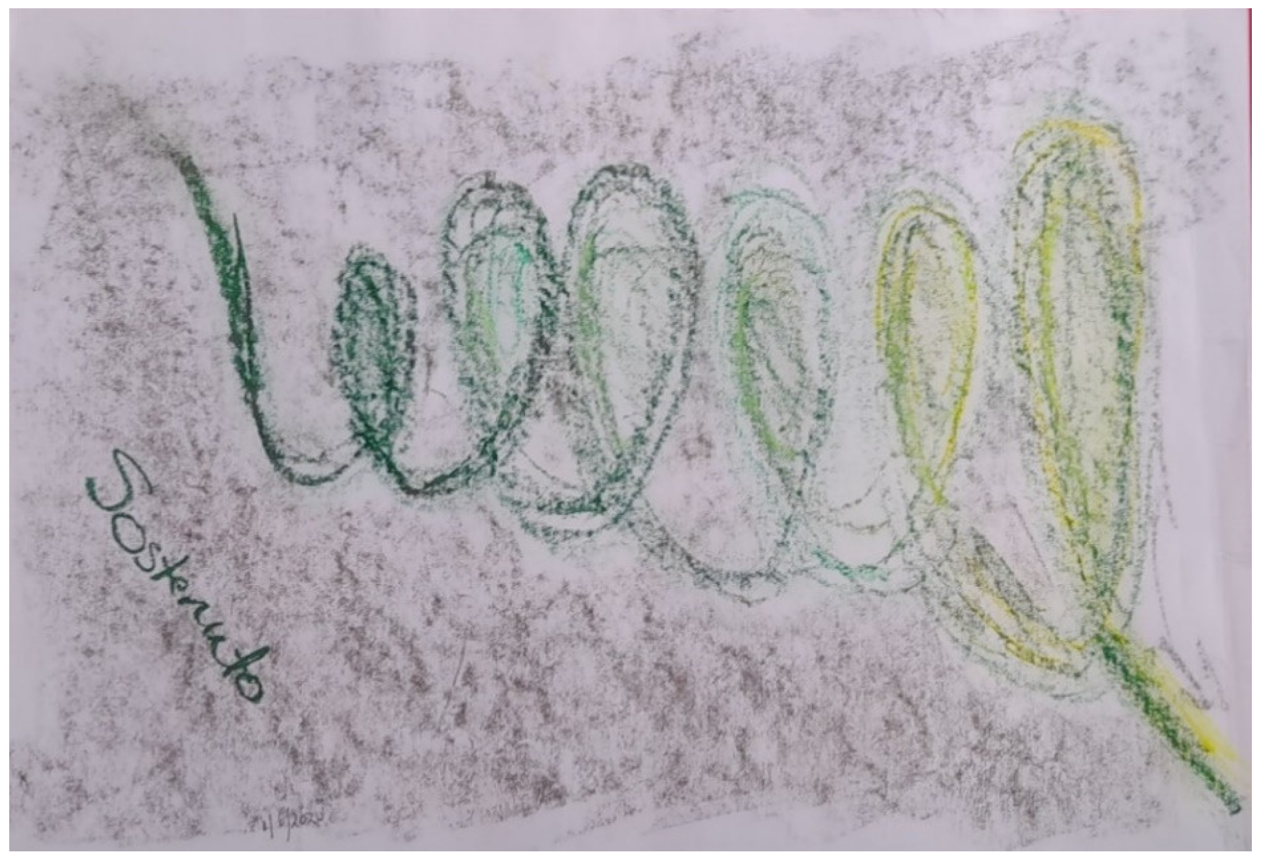 Religions 15 00046 g015