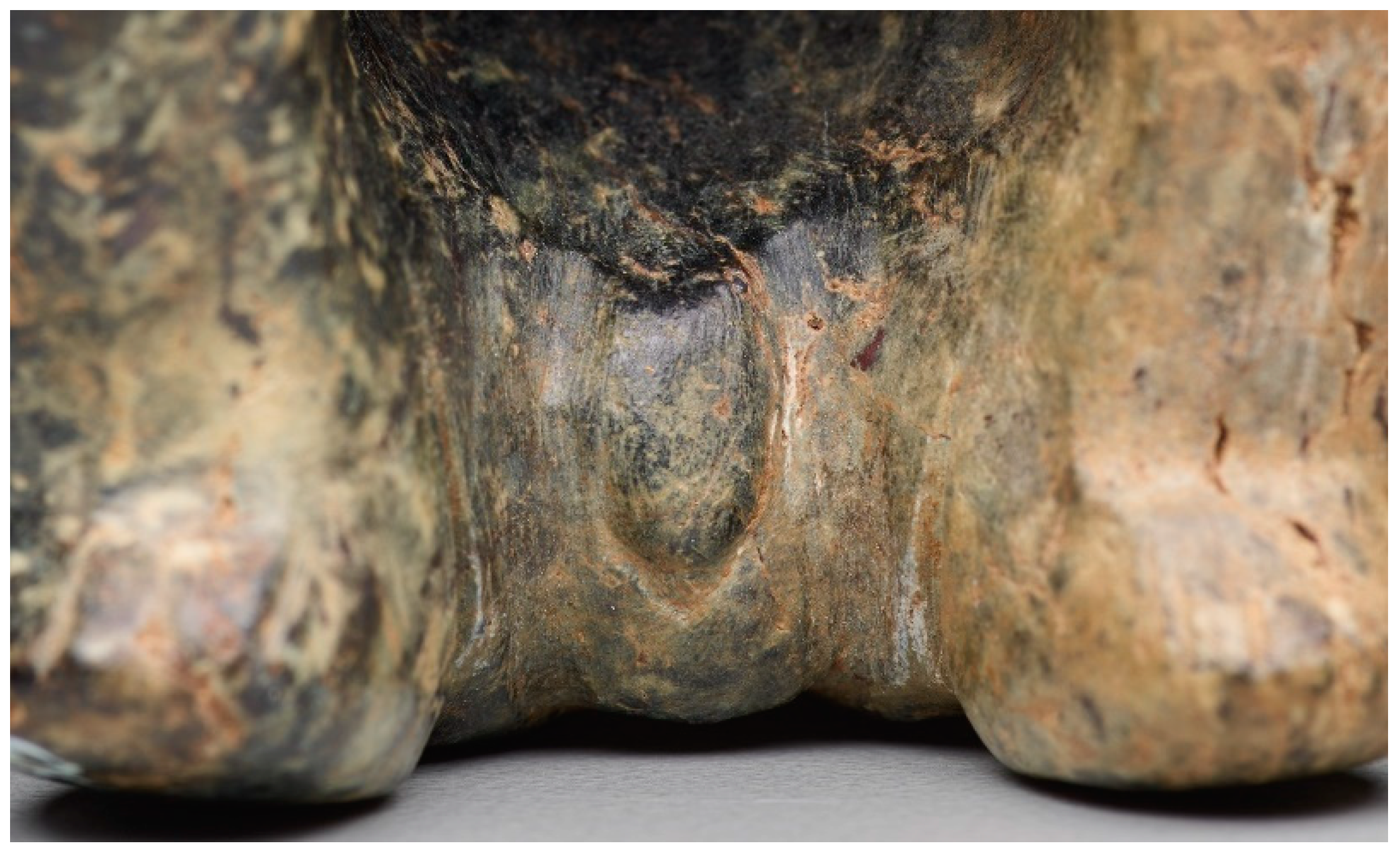 Religions 15 00153 g002